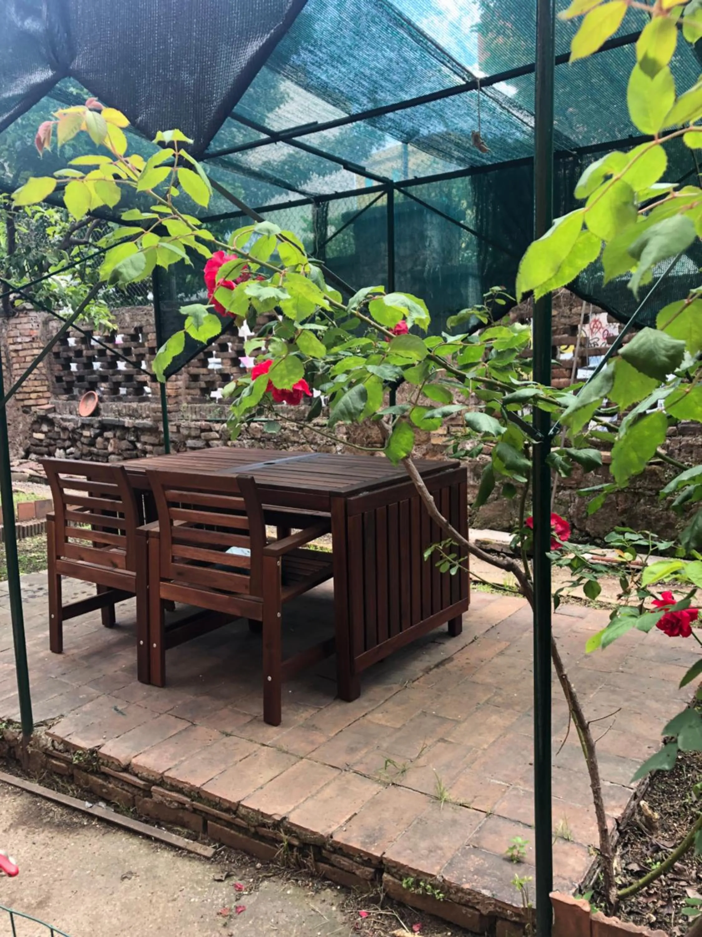 Patio in Villa Ella