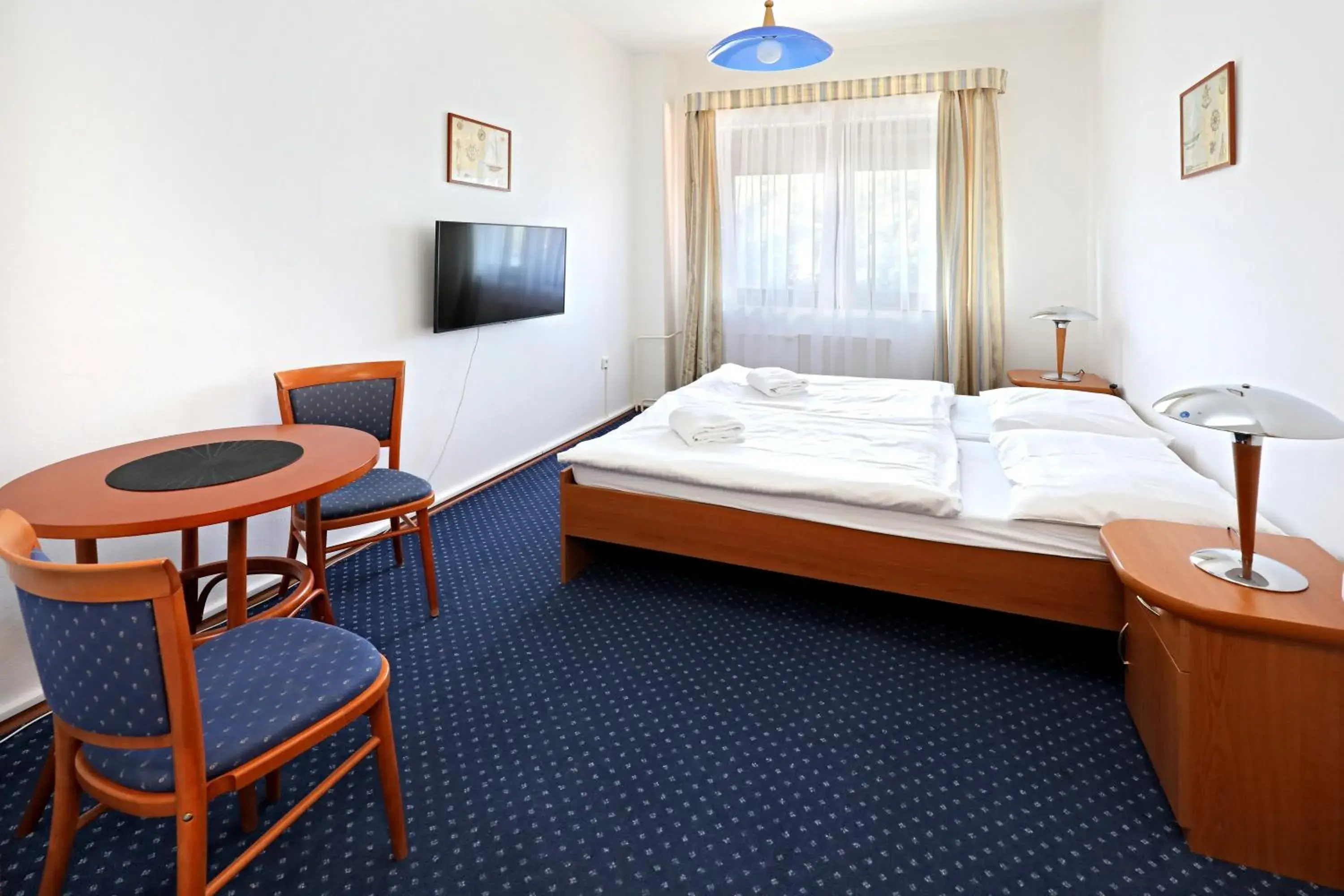 Double or Twin Room with Forest View - single occupancy in Hotel Laguna Slapy Double or Twin Room with Forest View - single occupancy in Hotel Laguna Slapy