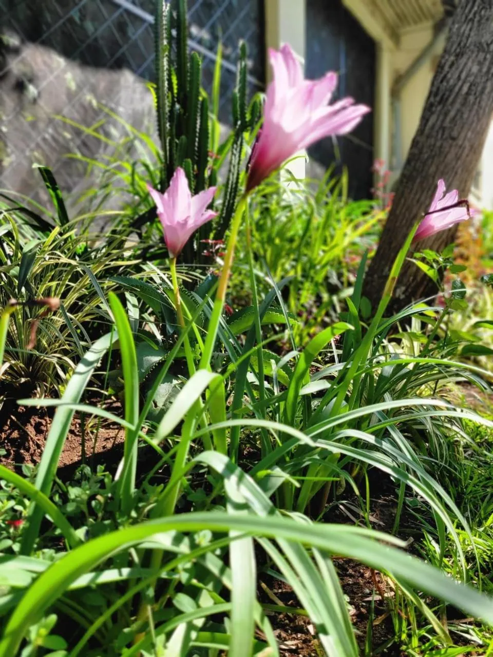 Day in Annodas Homes Milimani Kisumu