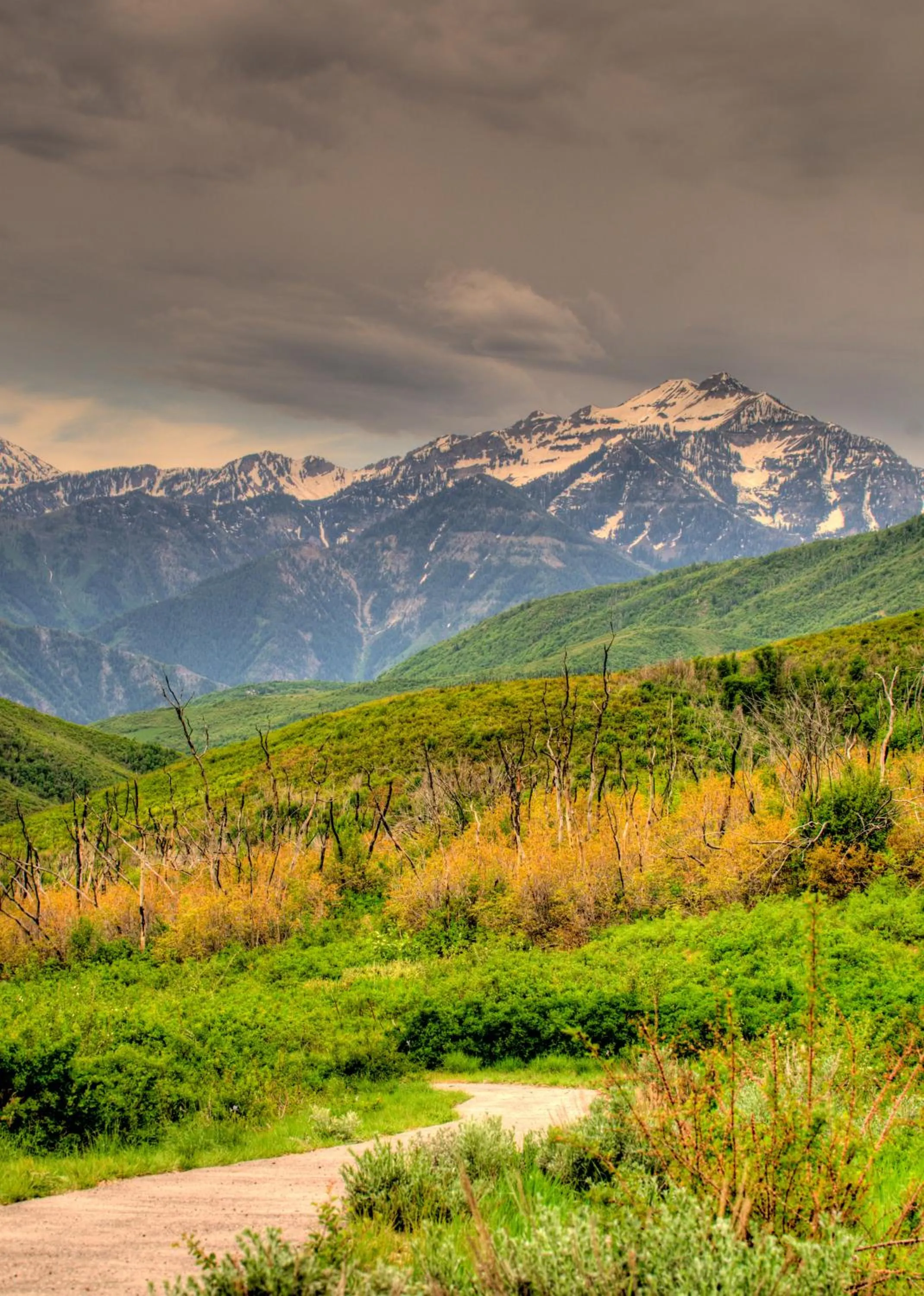 Natural landscape in Raintree's The Miners Club Park City