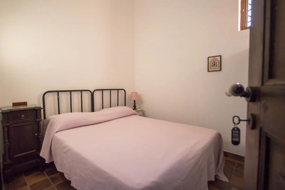 MASSERIA CITULO Il Pino grande