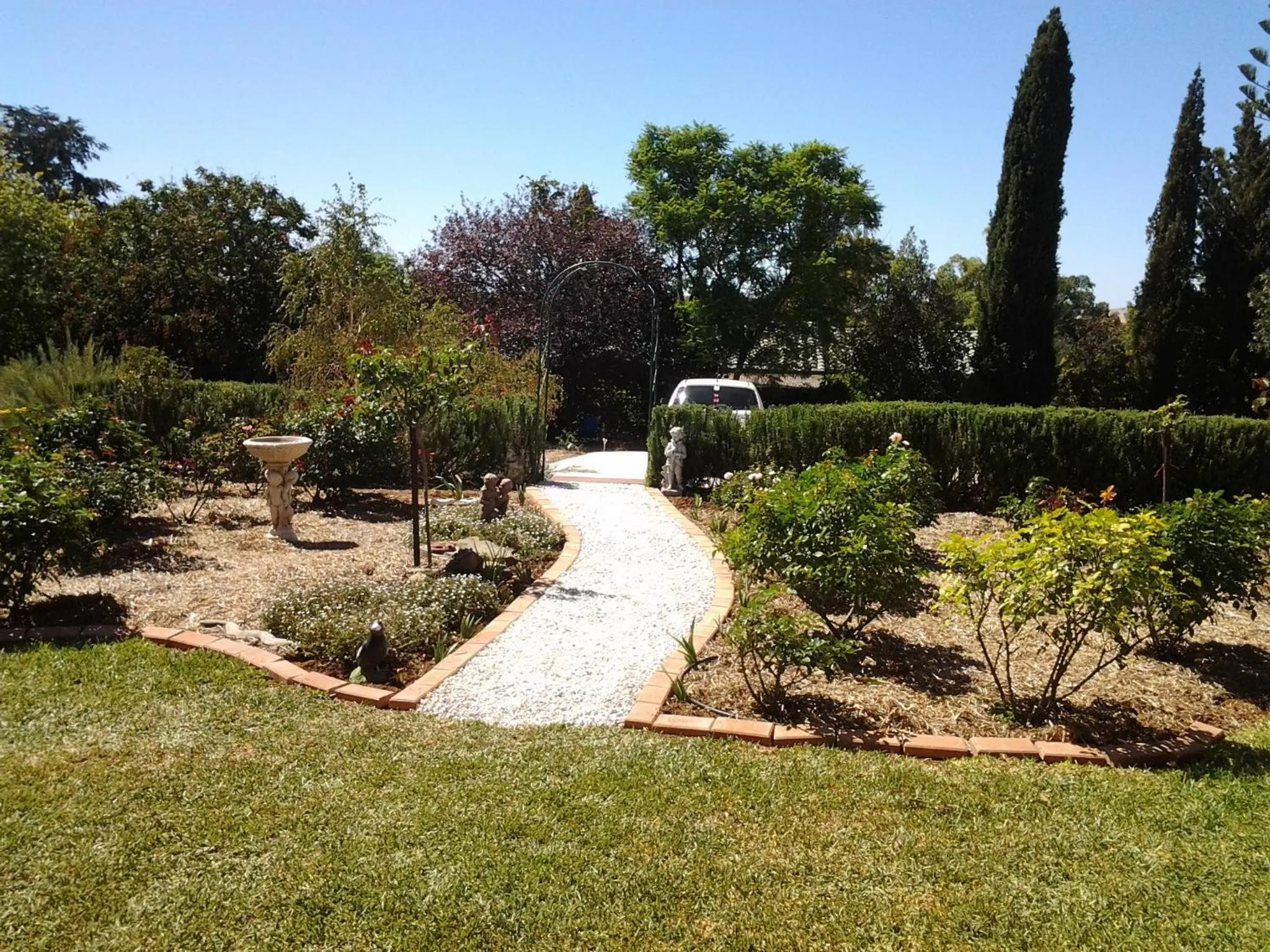 Garden in Lyreen's Apartment