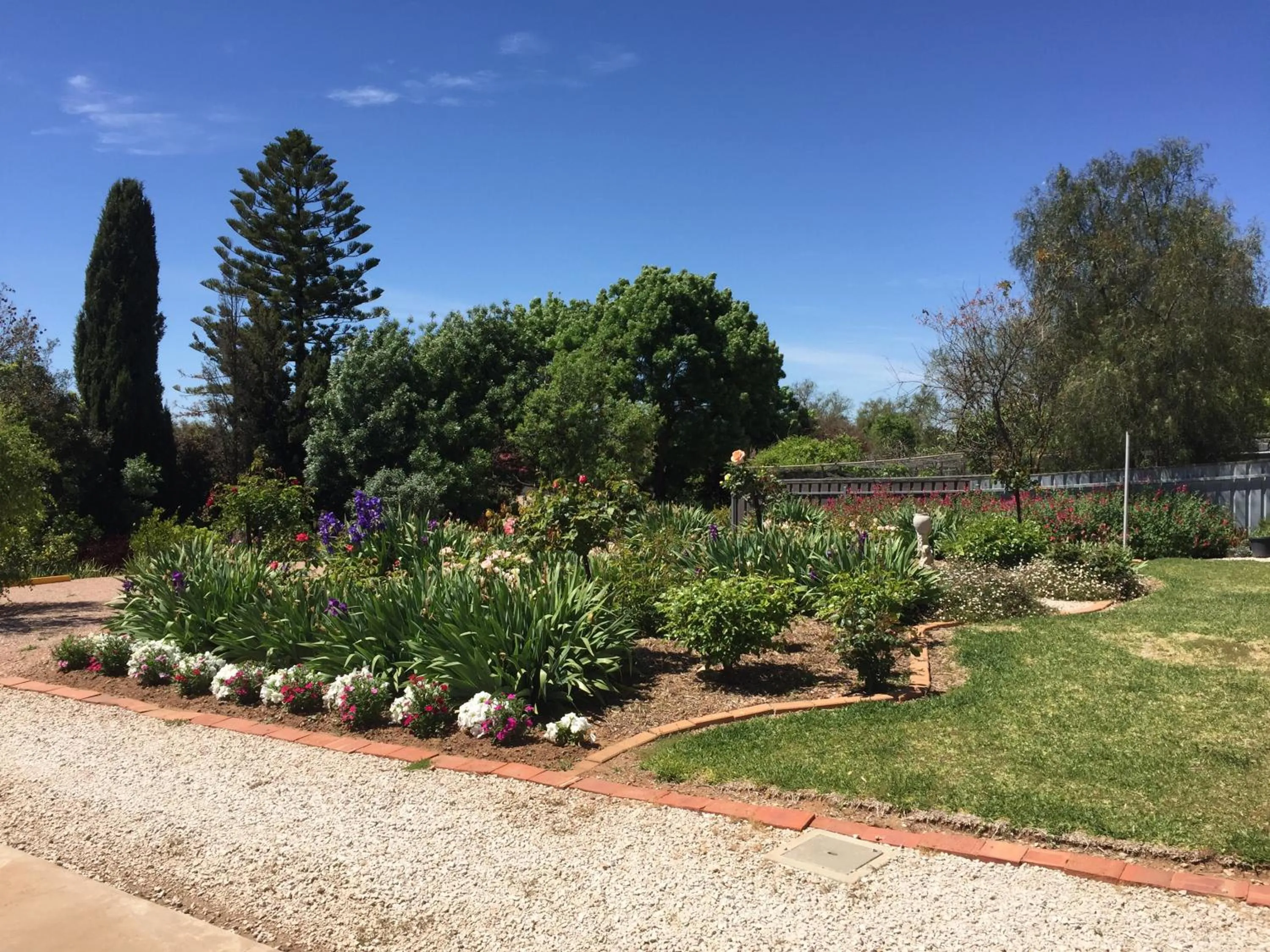 Garden in Lyreen's Apartment