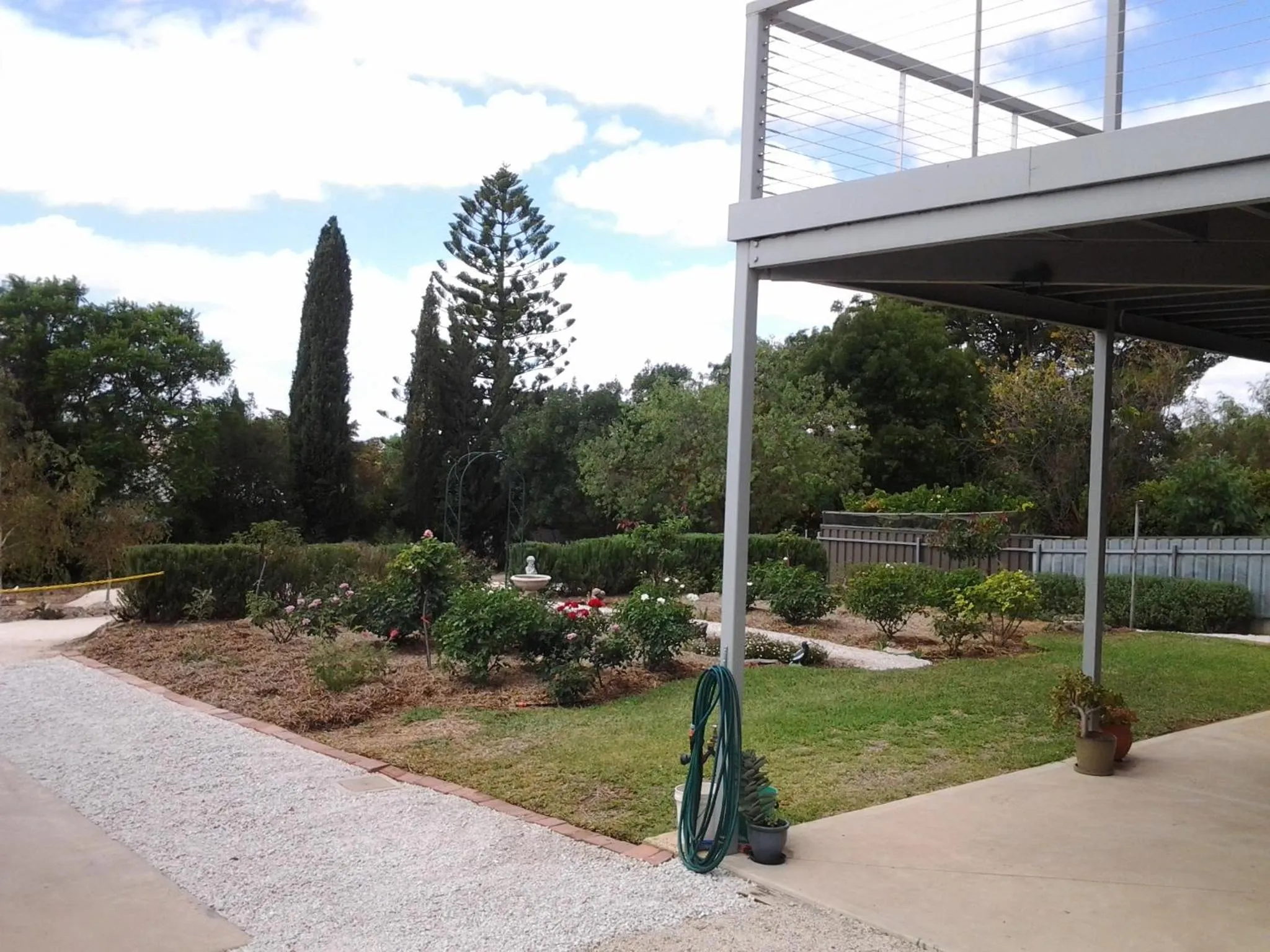 Garden in Lyreen's Apartment