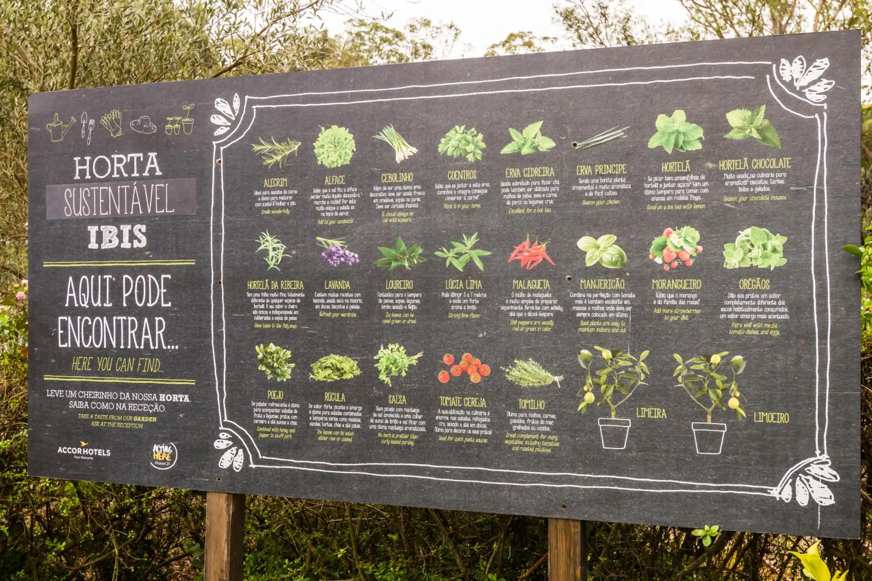 Restaurant/places to eat in Hotel ibis Lisboa Alfragide