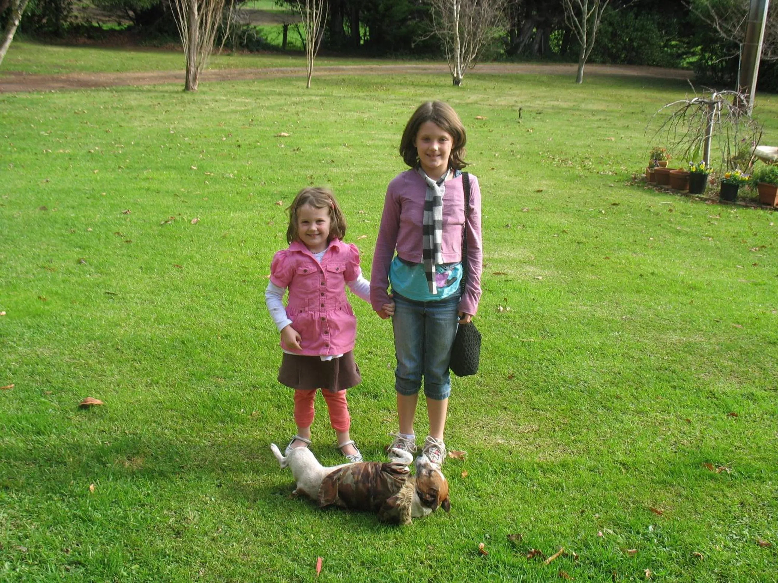 Garden in Butterfly Farm Bed and Breakfast Nirranda