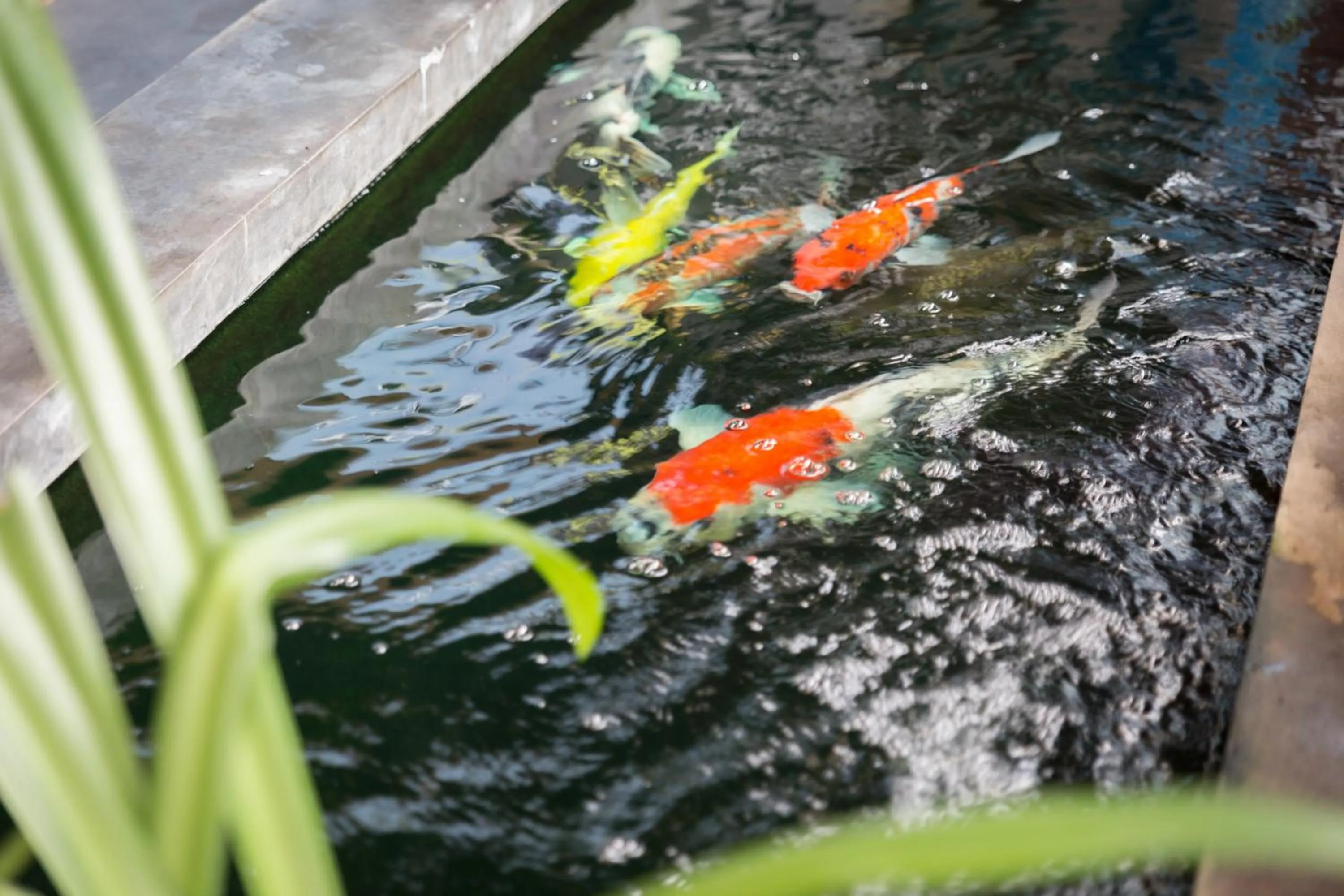 Other in Memory Boutique Patong