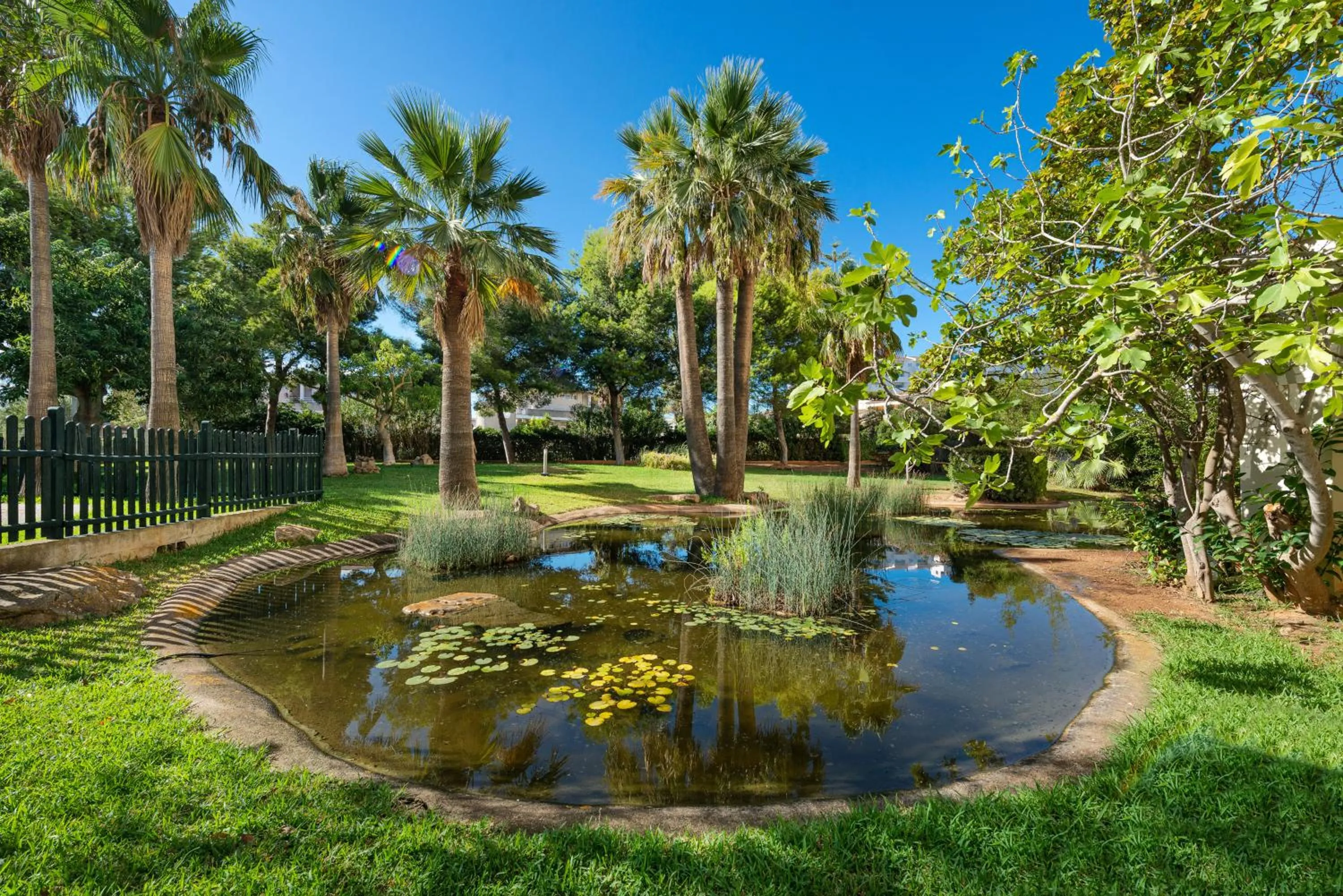 Garden in Welikehotel Marfil Playa