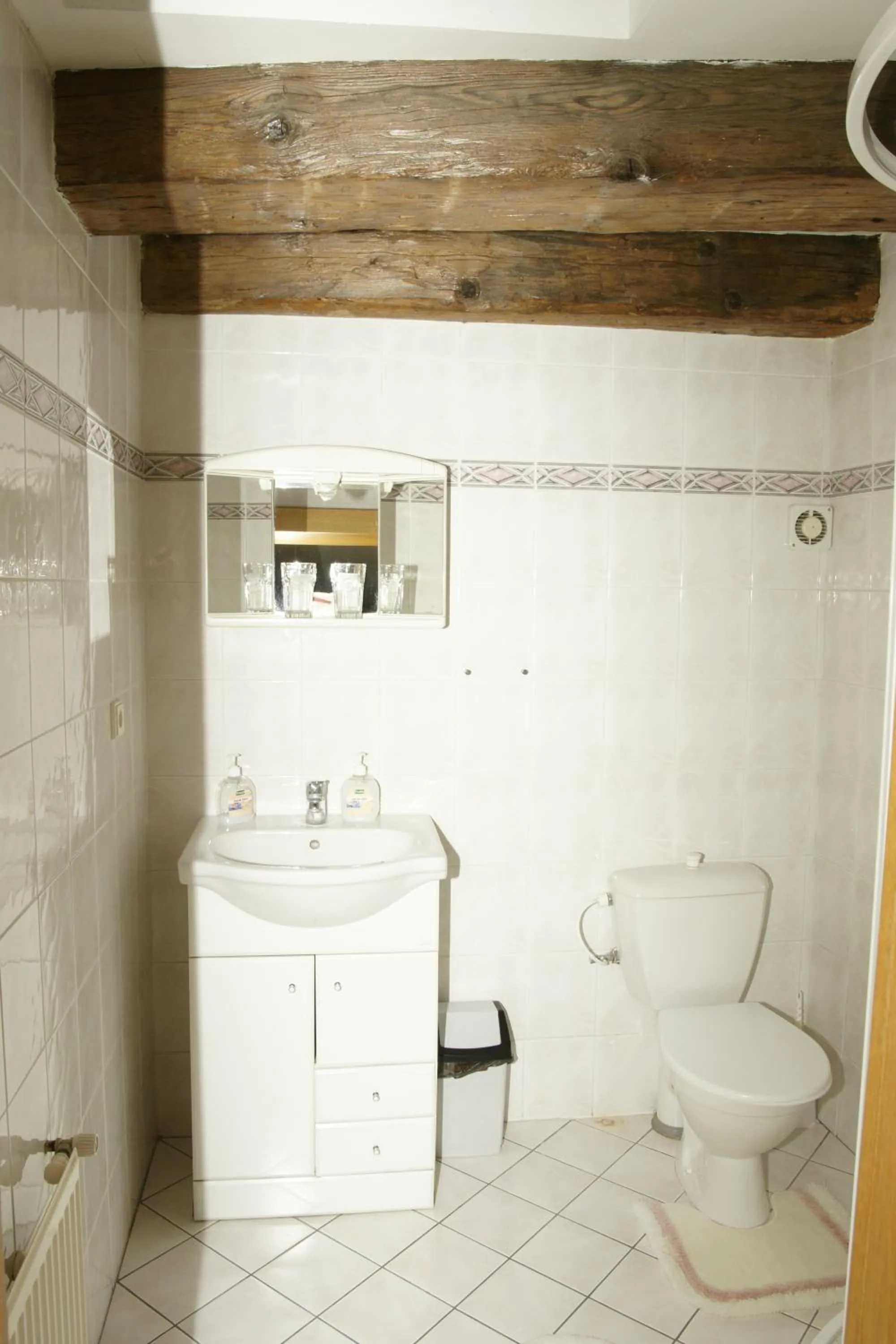 Bathroom in Hotel U Zlateho Andela