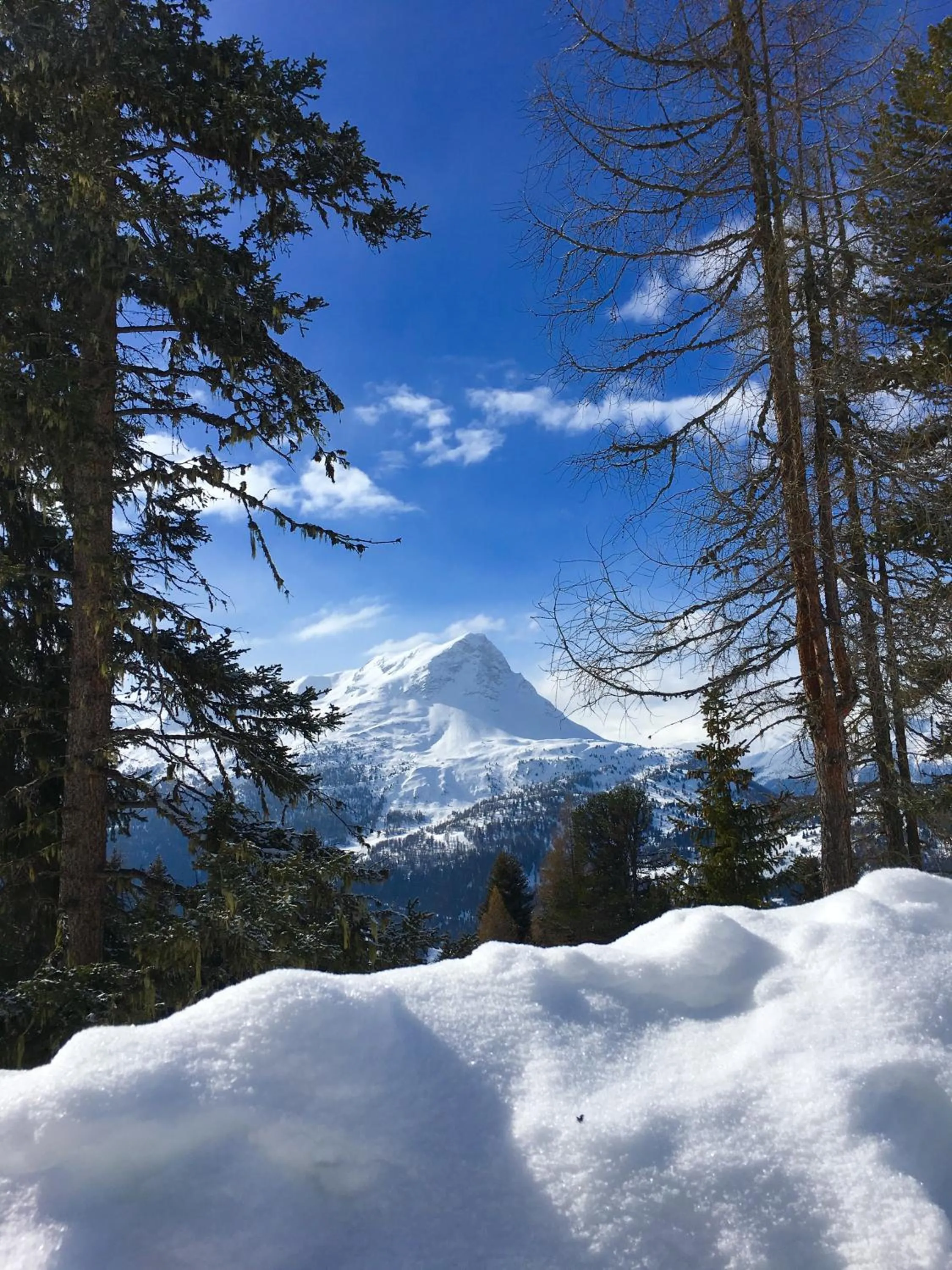 Skiing in Gasthof Martha