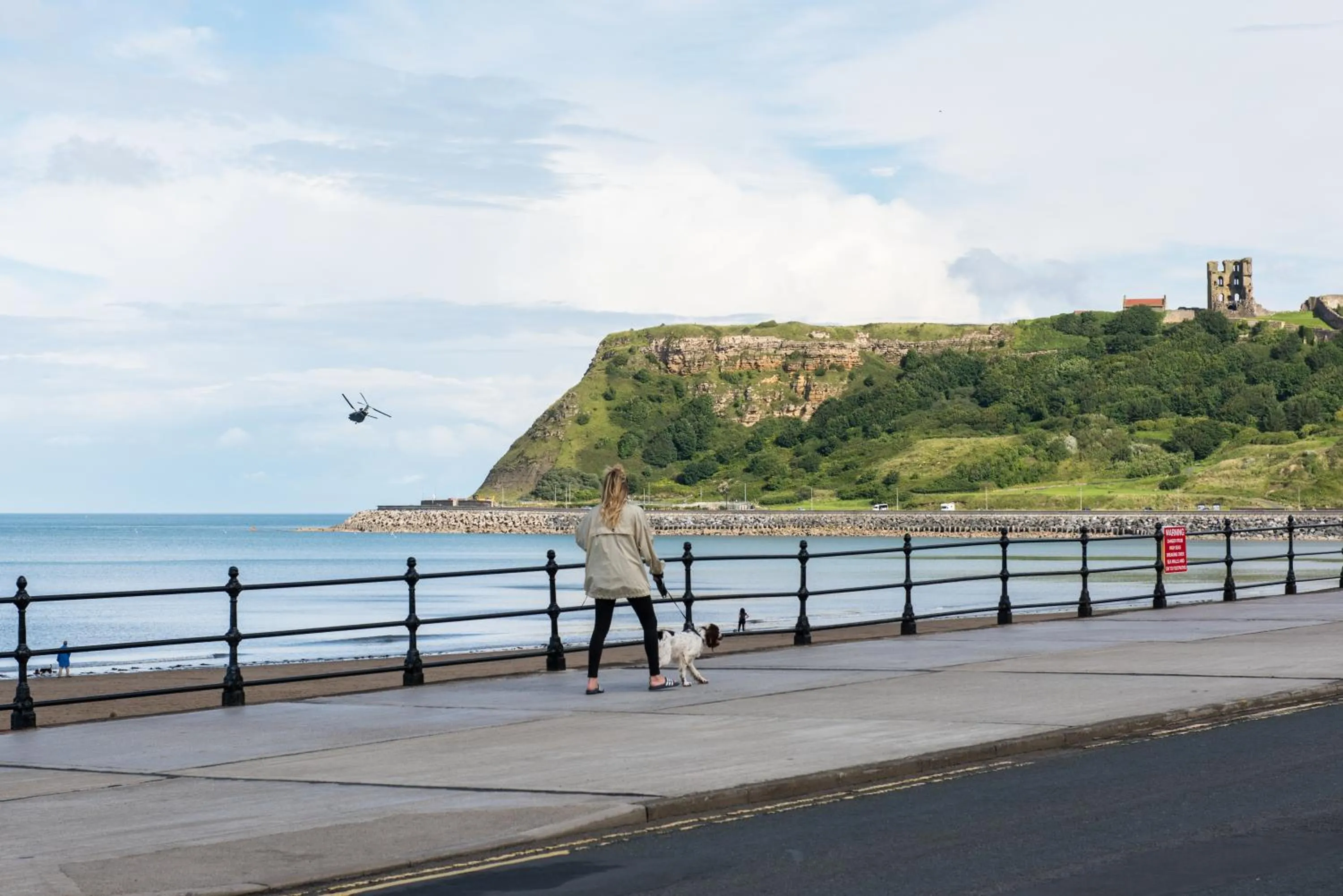 Natural landscape in The Esplanade Hotel