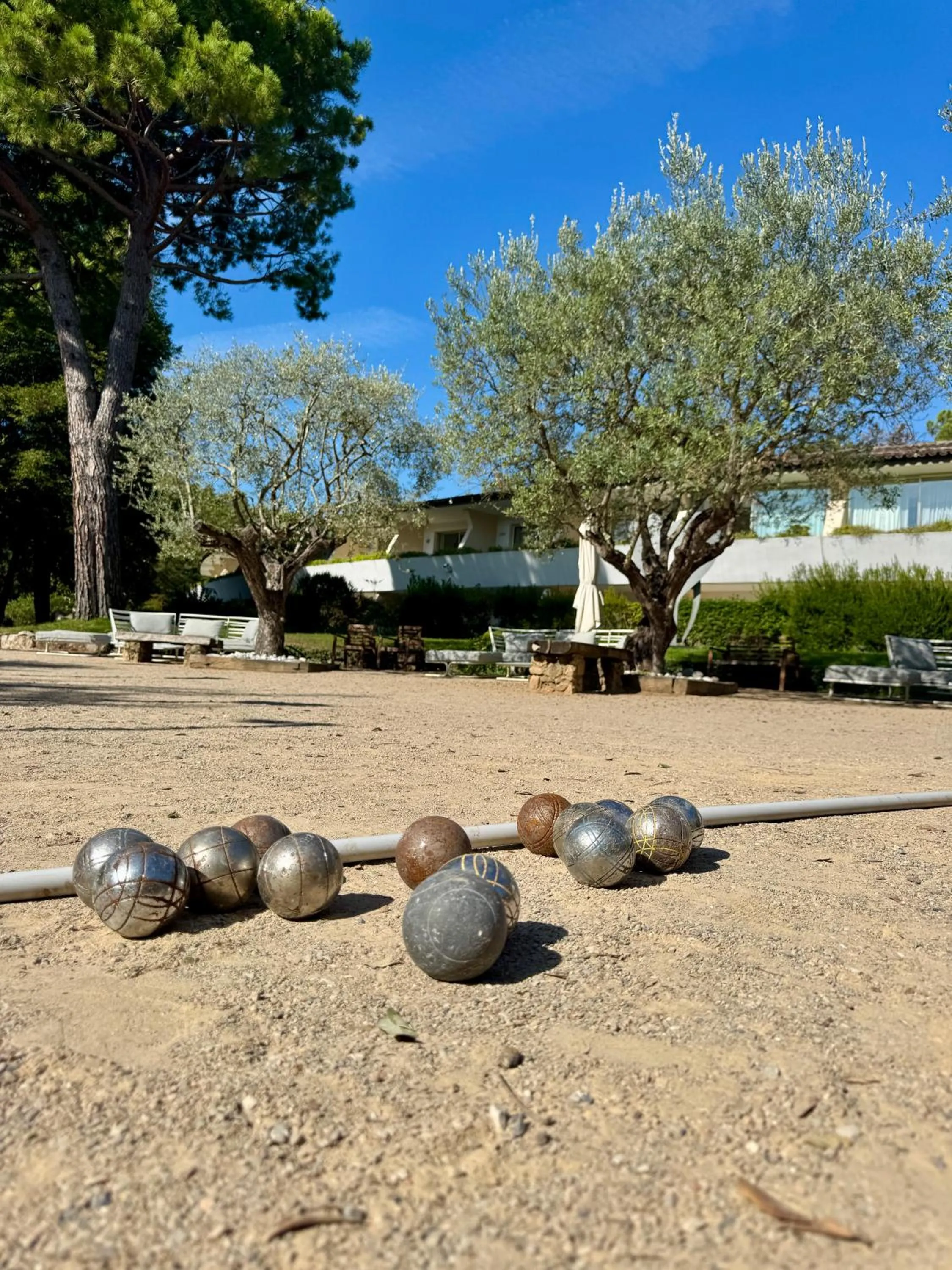 Garden in Hotel Restaurant La Vague de Saint Paul