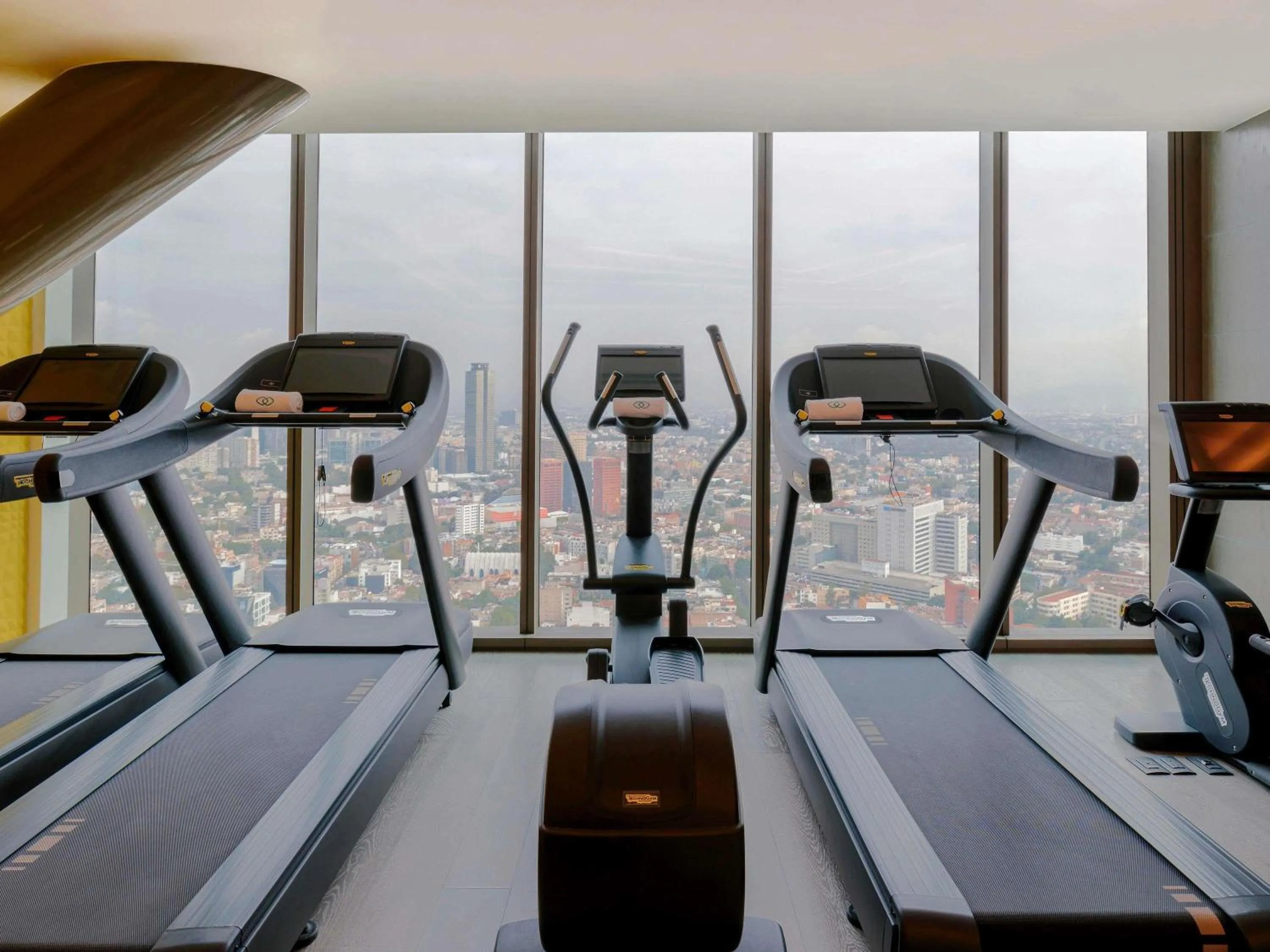 Fitness centre/facilities in Sofitel Mexico City Reforma