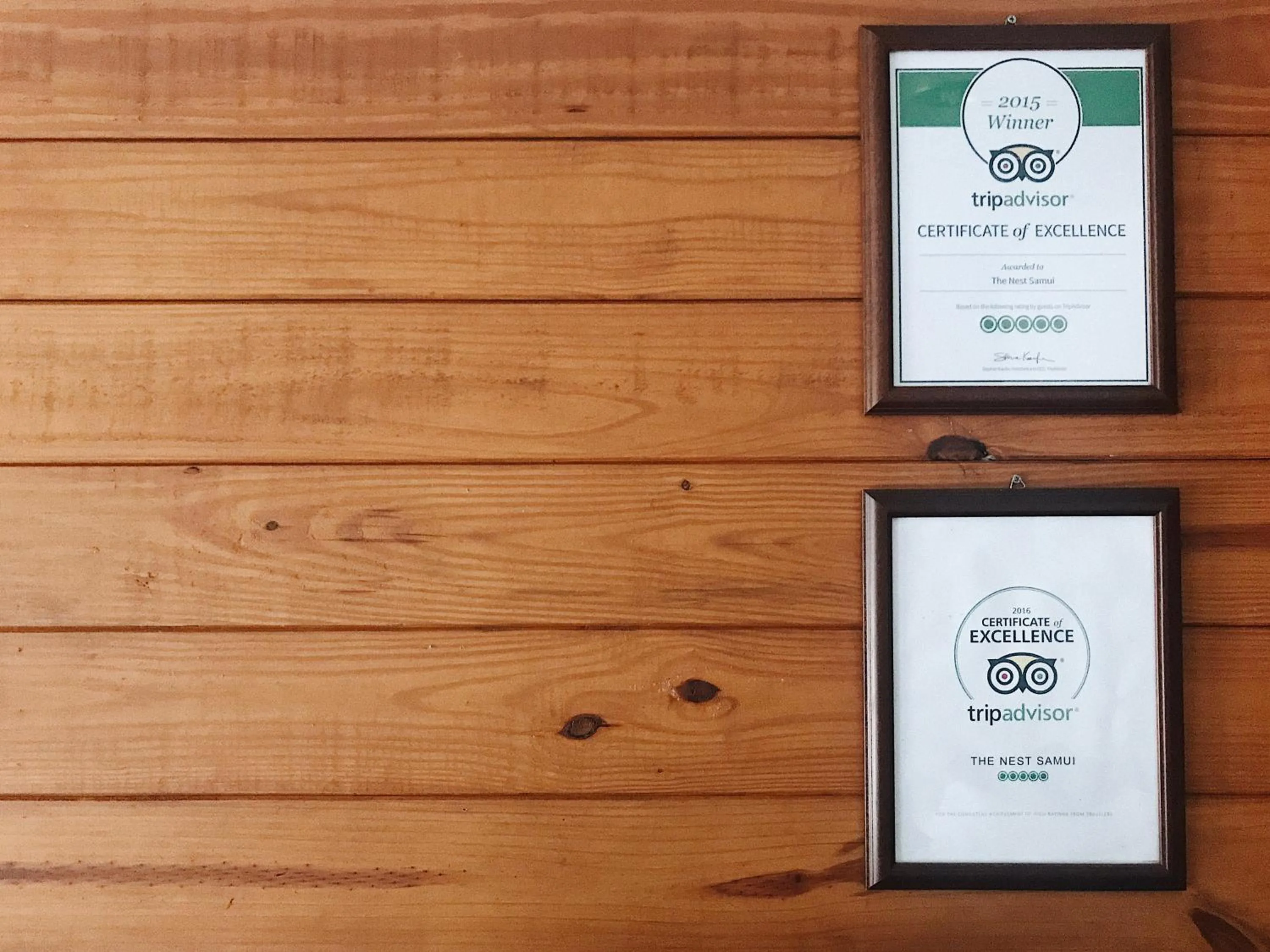 Certificate/Award in The Nest Samui