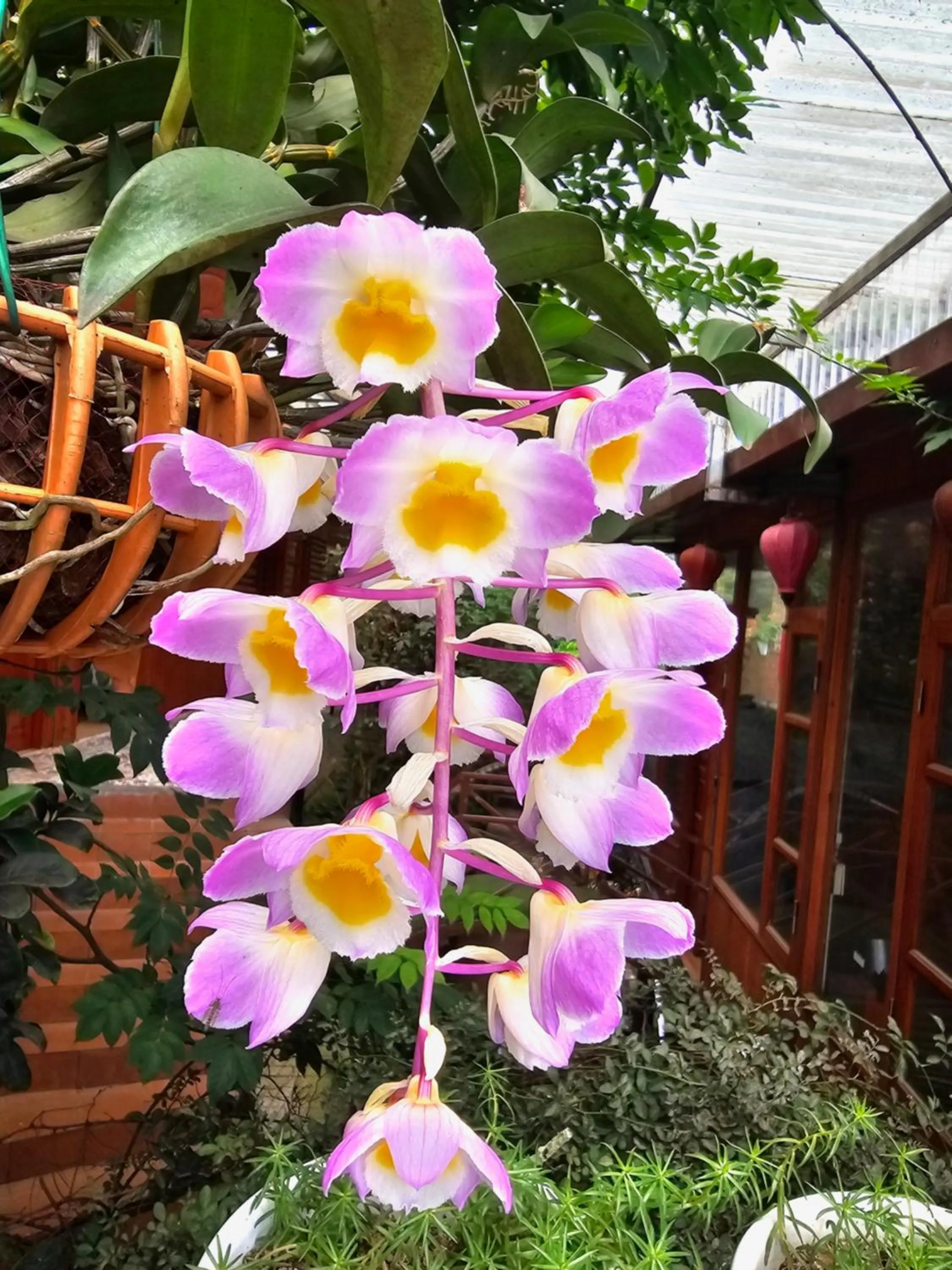 Garden in Dang Khoa Garden Inn
