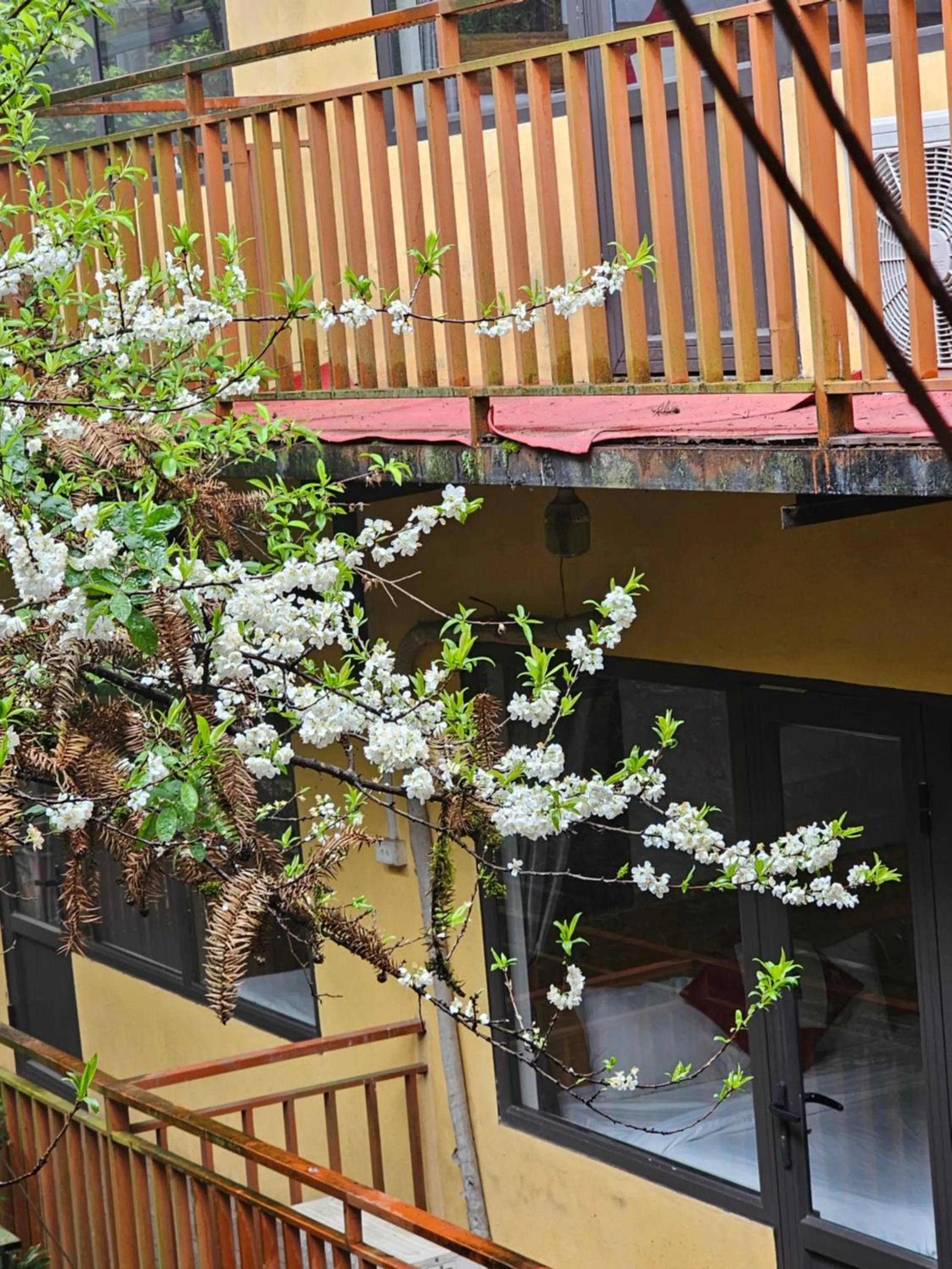 View (from property/room) in Dang Khoa Garden Inn