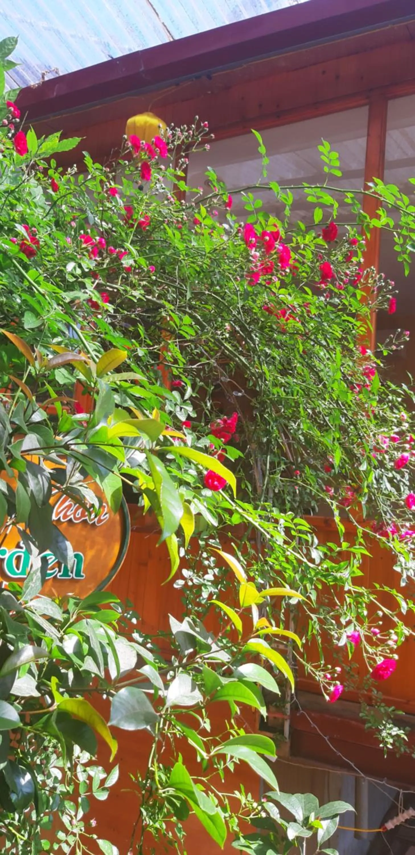 Garden in Dang Khoa Garden Inn