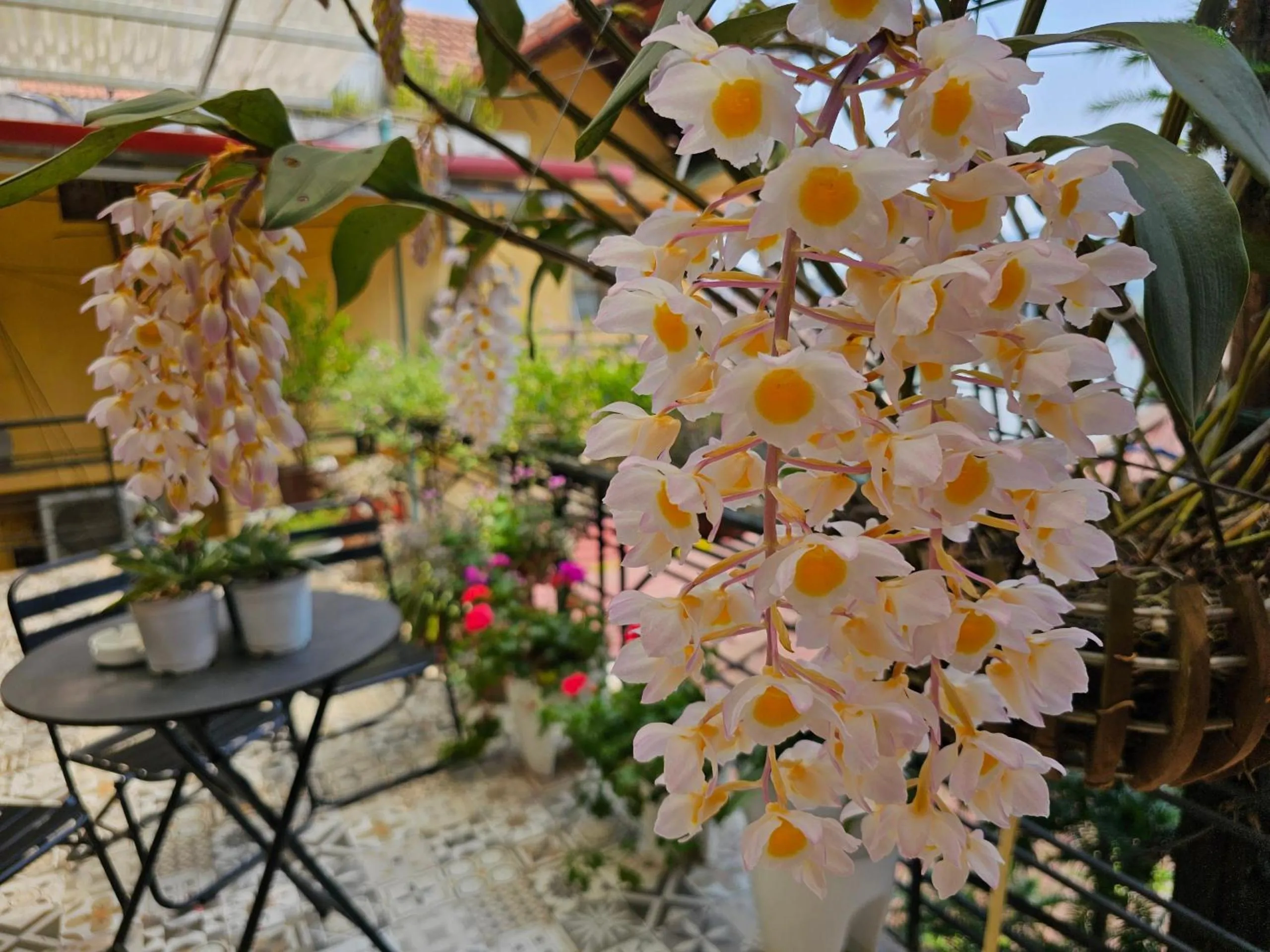Garden view in Dang Khoa Garden Inn