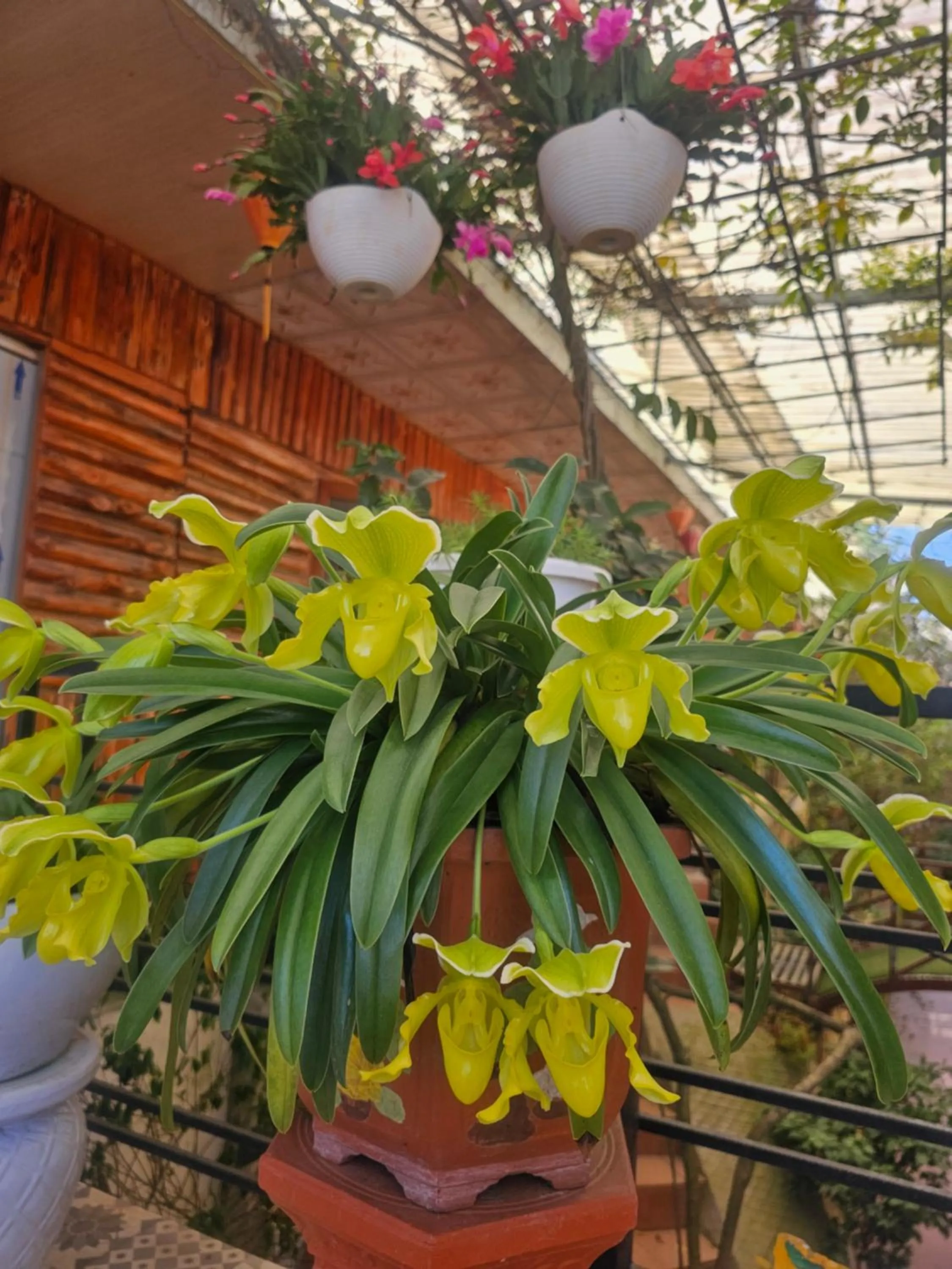 View (from property/room) in Dang Khoa Garden Inn