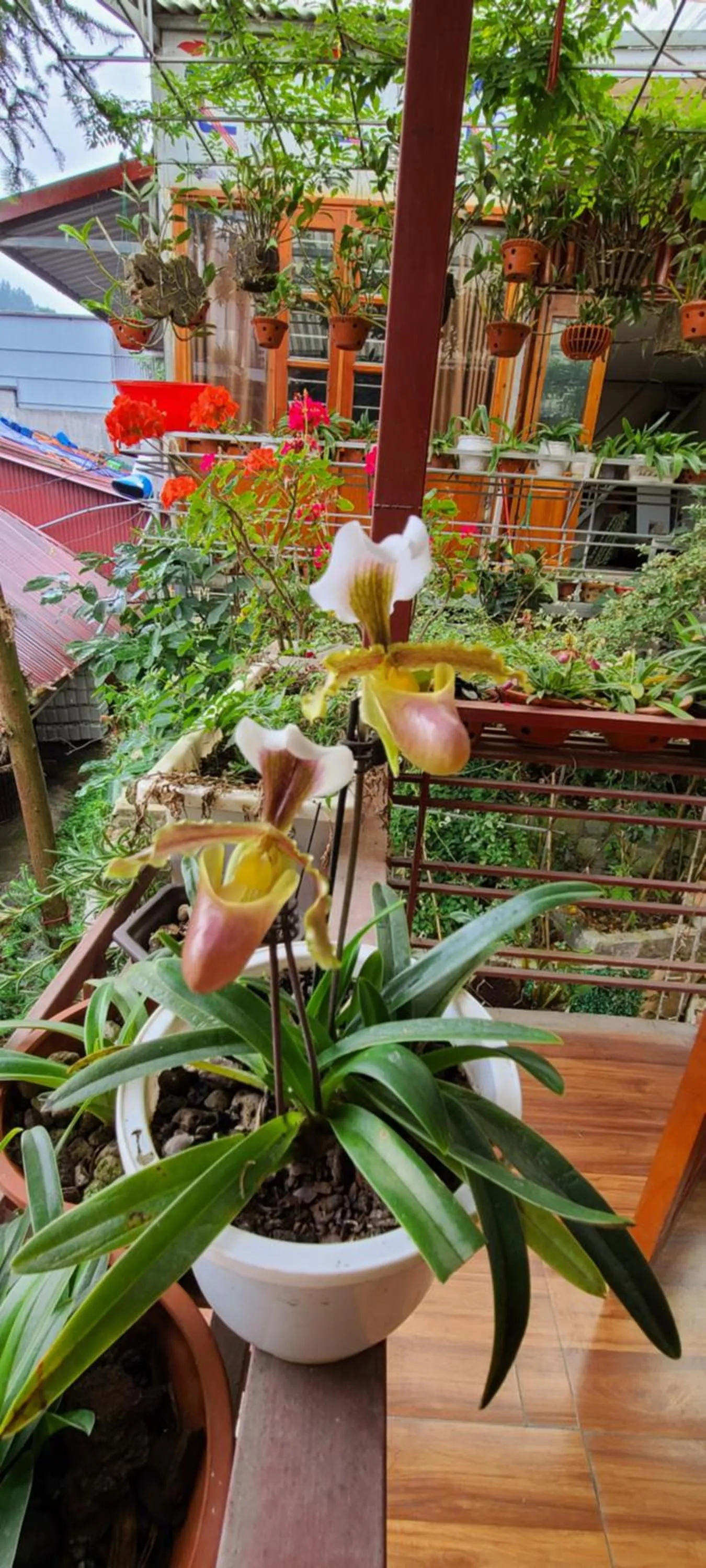 View (from property/room) in Dang Khoa Garden Inn