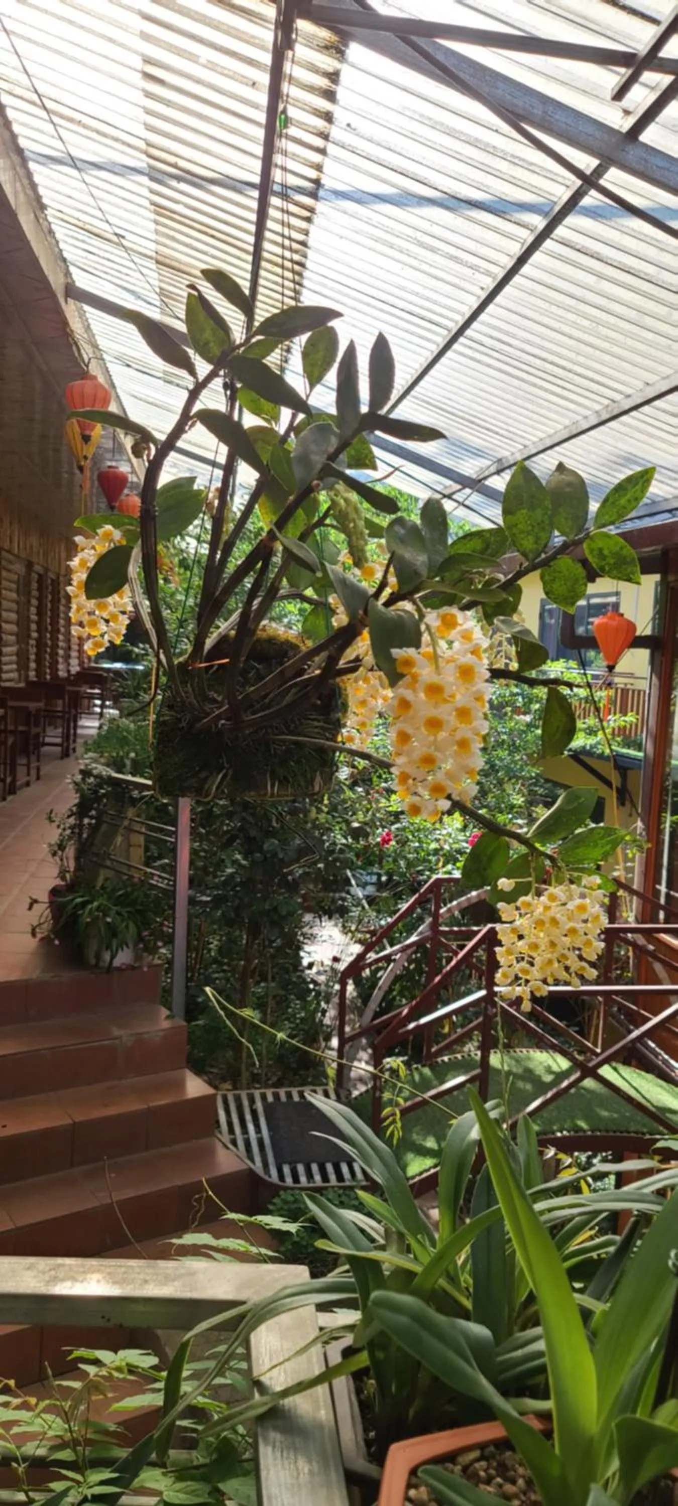 Property building in Dang Khoa Garden Inn