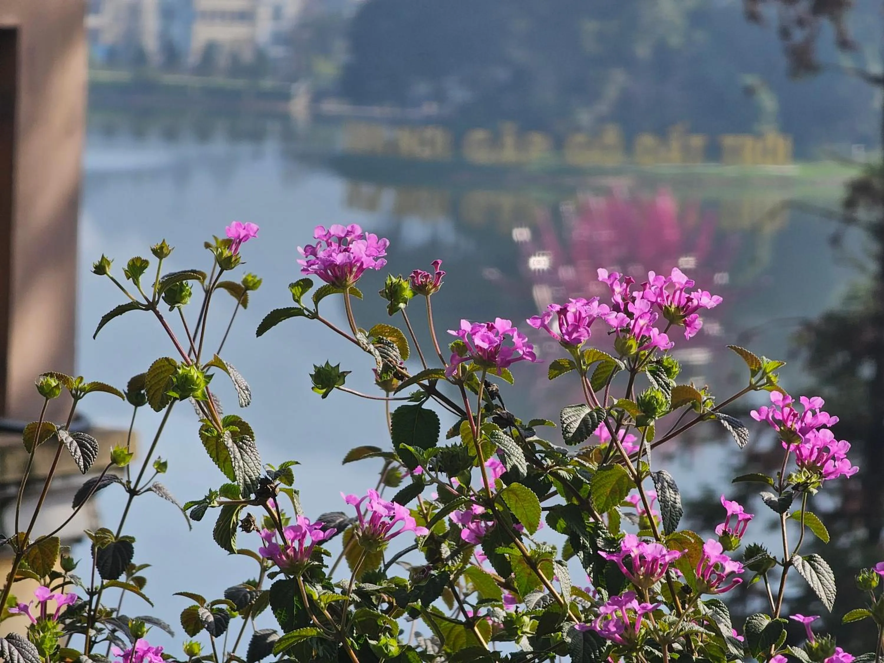 Garden view in Dang Khoa Garden Inn