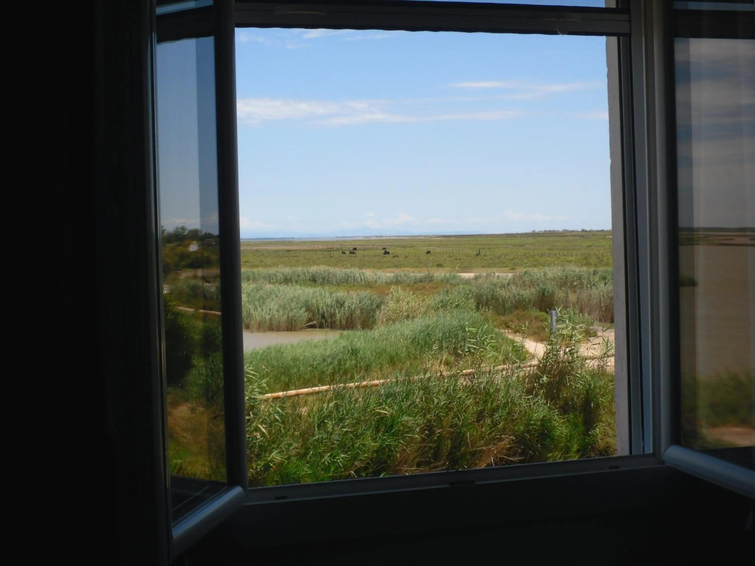 Chambre les flamants, climatisation, avec vue imprenable sur les étangs, petit déjeuner offert