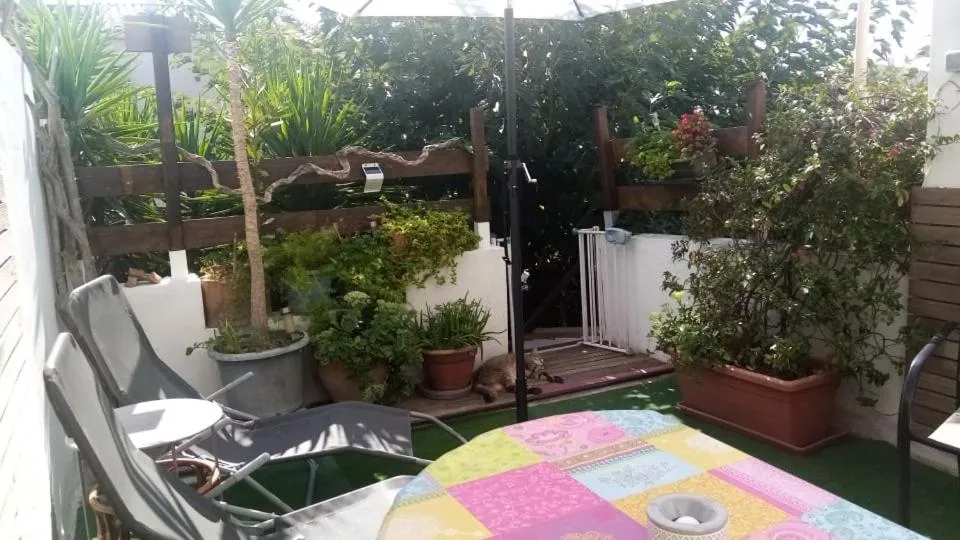 Patio in Chambre les flamants, climatisation, avec vue imprenable sur les étangs, petit déjeuner offert