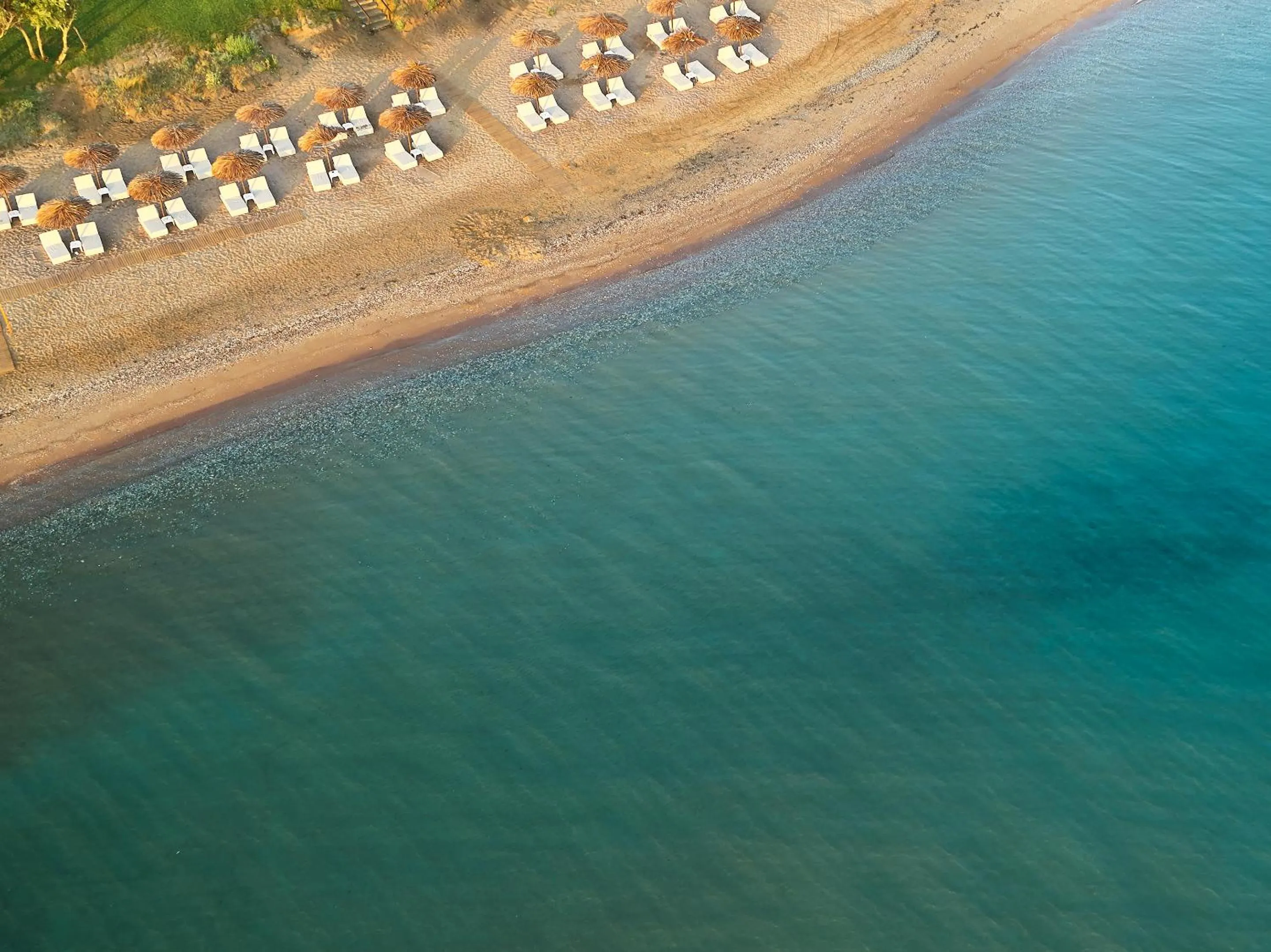 Beach in Grecotel Casa Marron