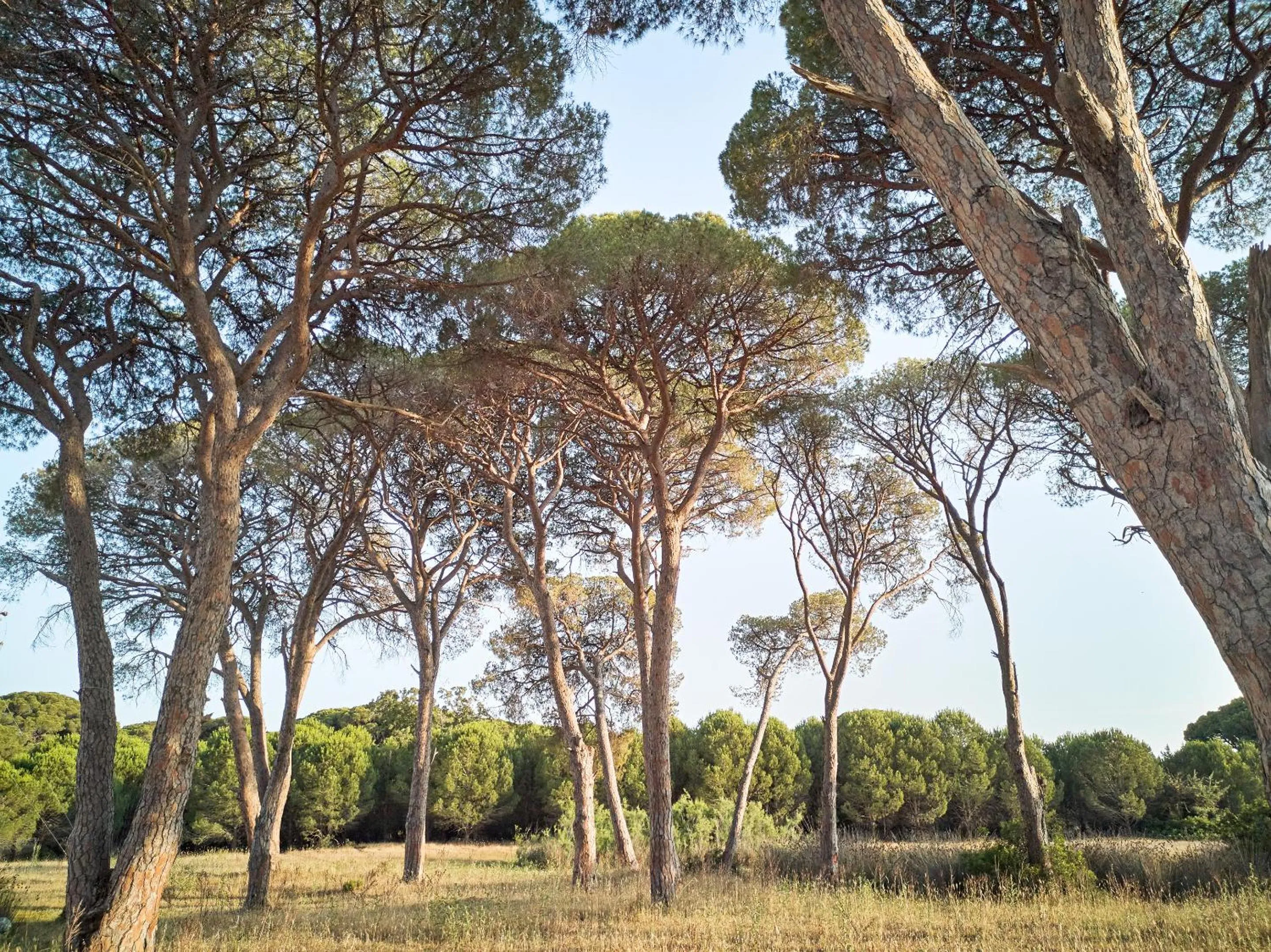 Natural landscape in Grecotel Casa Marron