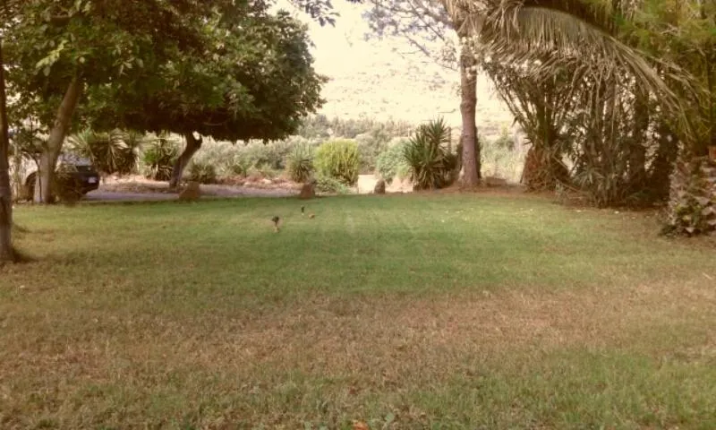 Bed & Breakfast Il Rosmarino