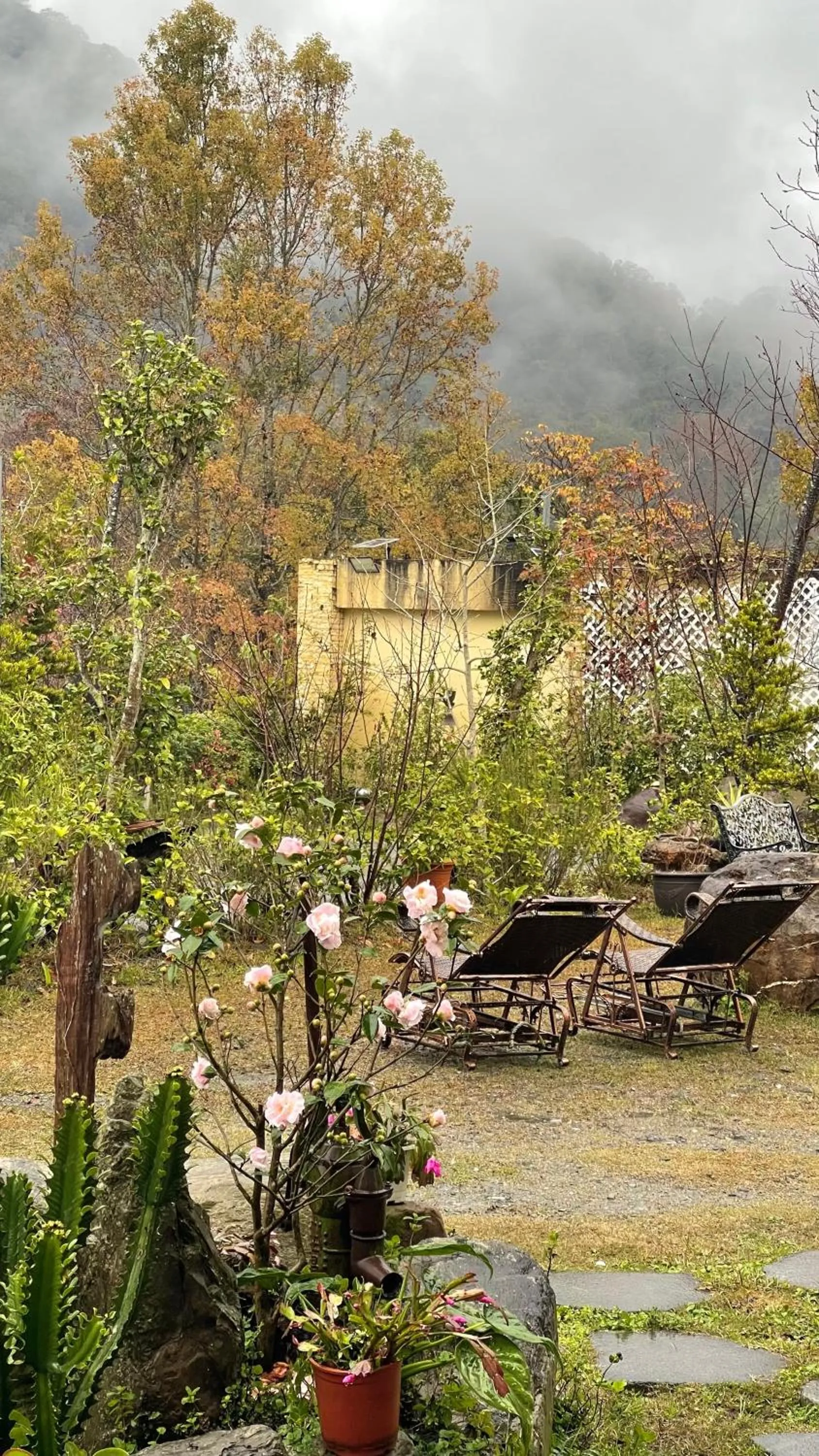 春陽溫泉一品居 ChunYang Homestay hot spring