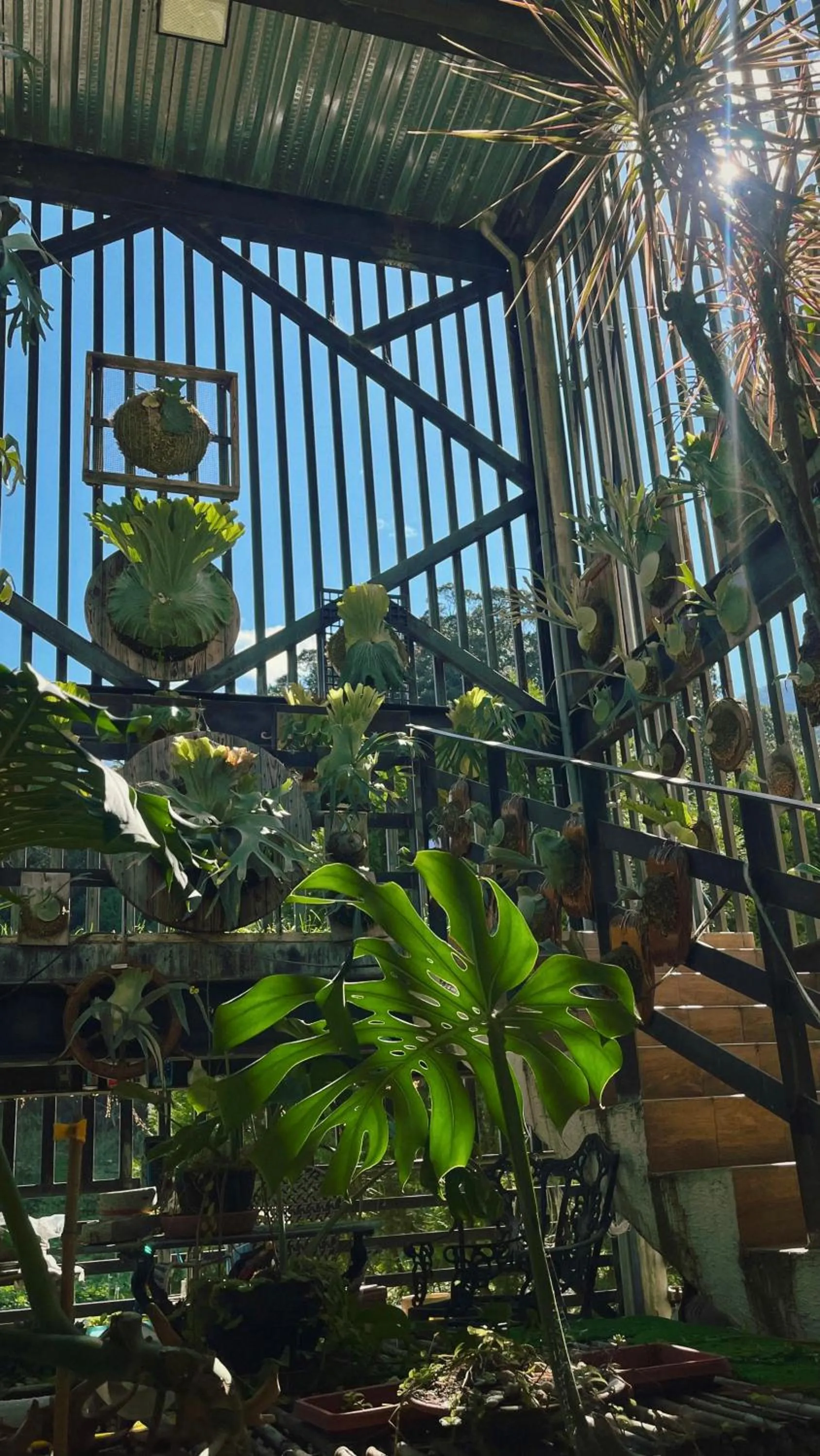 春陽溫泉一品居 ChunYang Homestay hot spring