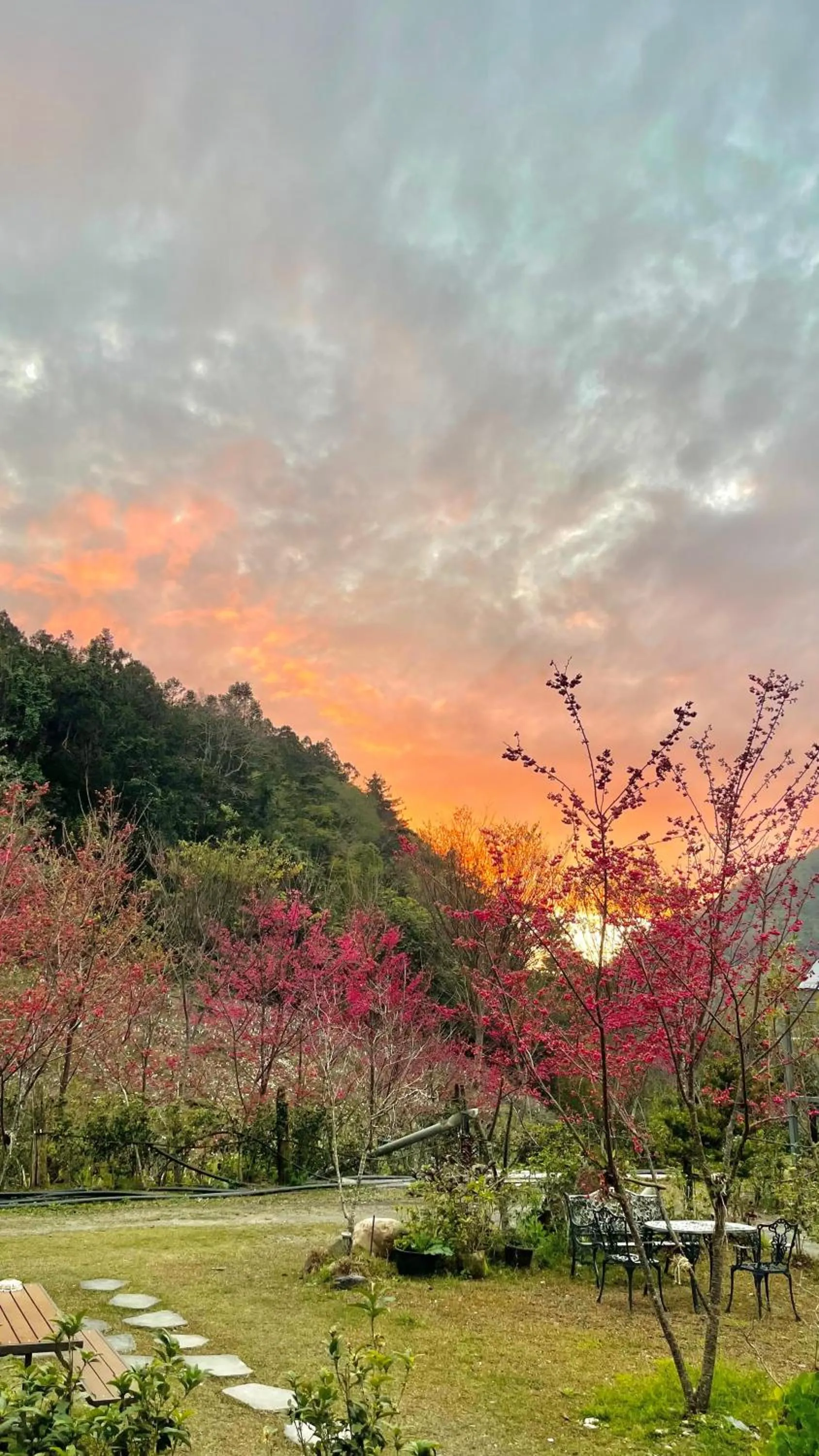 春陽溫泉一品居 ChunYang Homestay hot spring