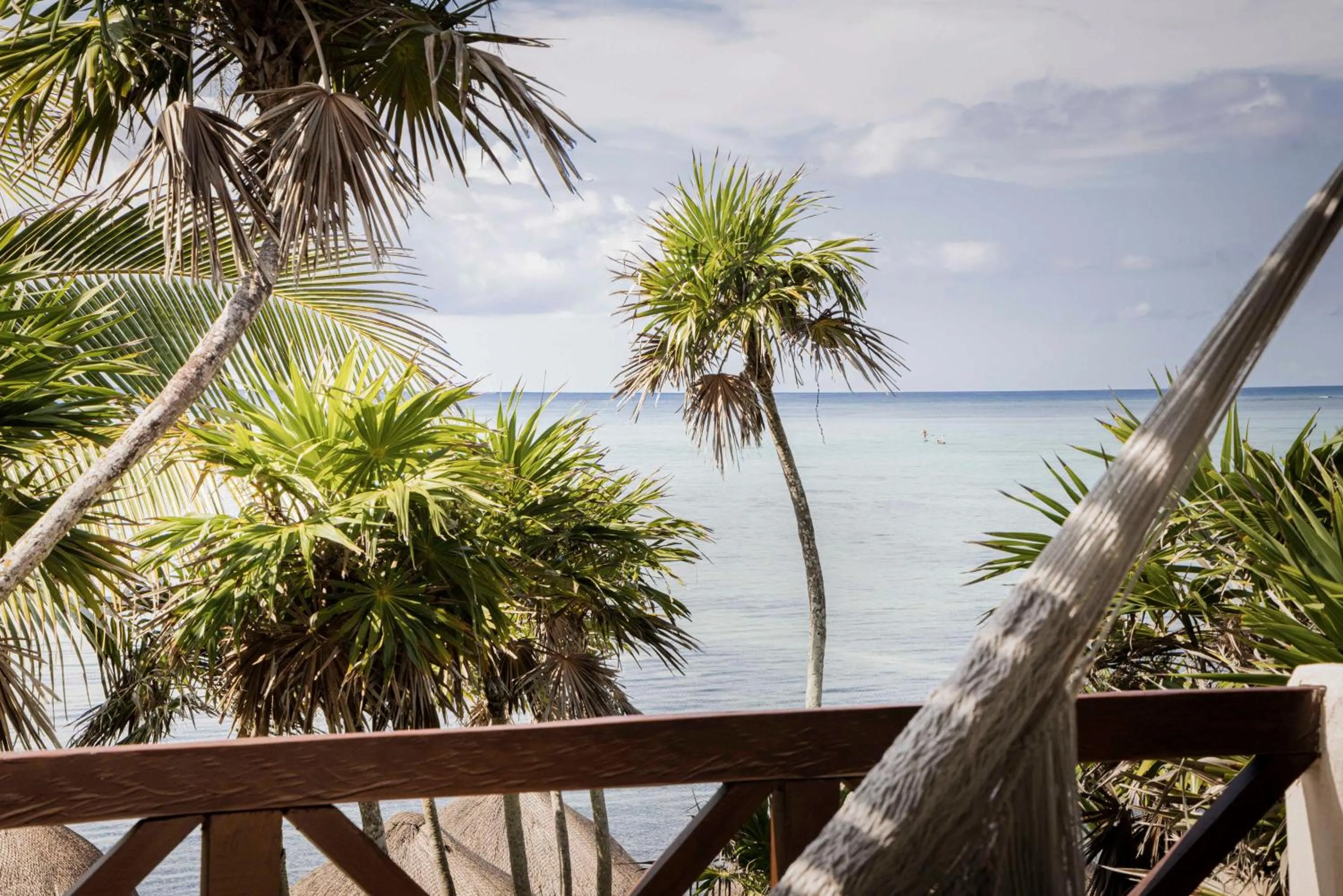 Natural landscape in Jashita Hotel