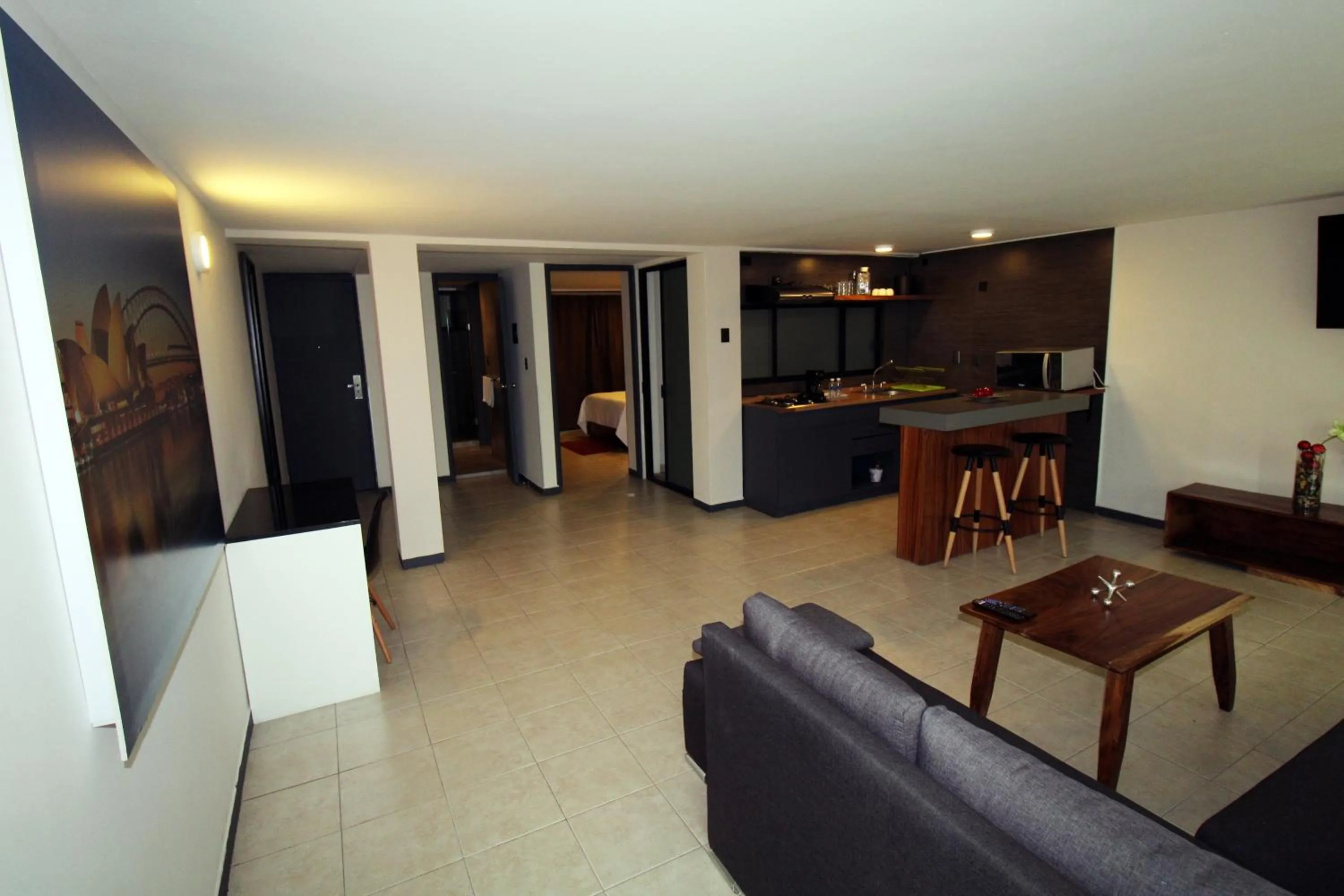 TV and multimedia in Rochester 10