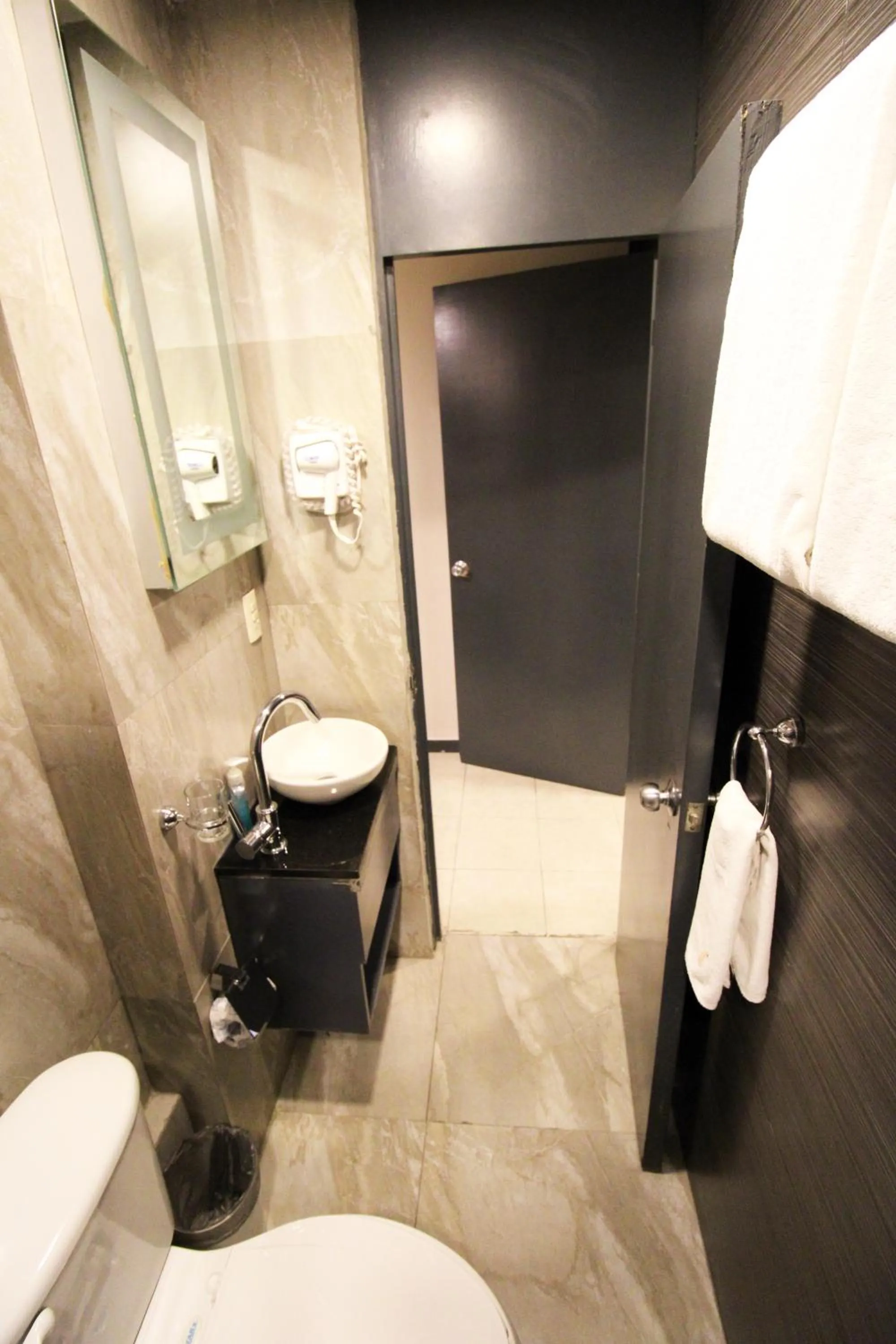 Toilet in Rochester 10