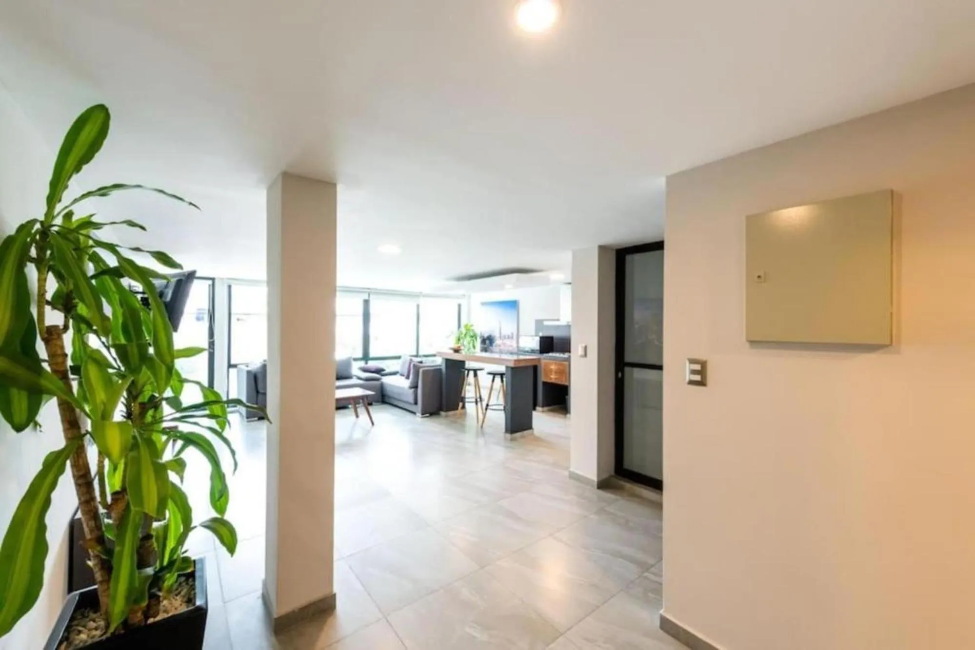 TV and multimedia in Rochester 10