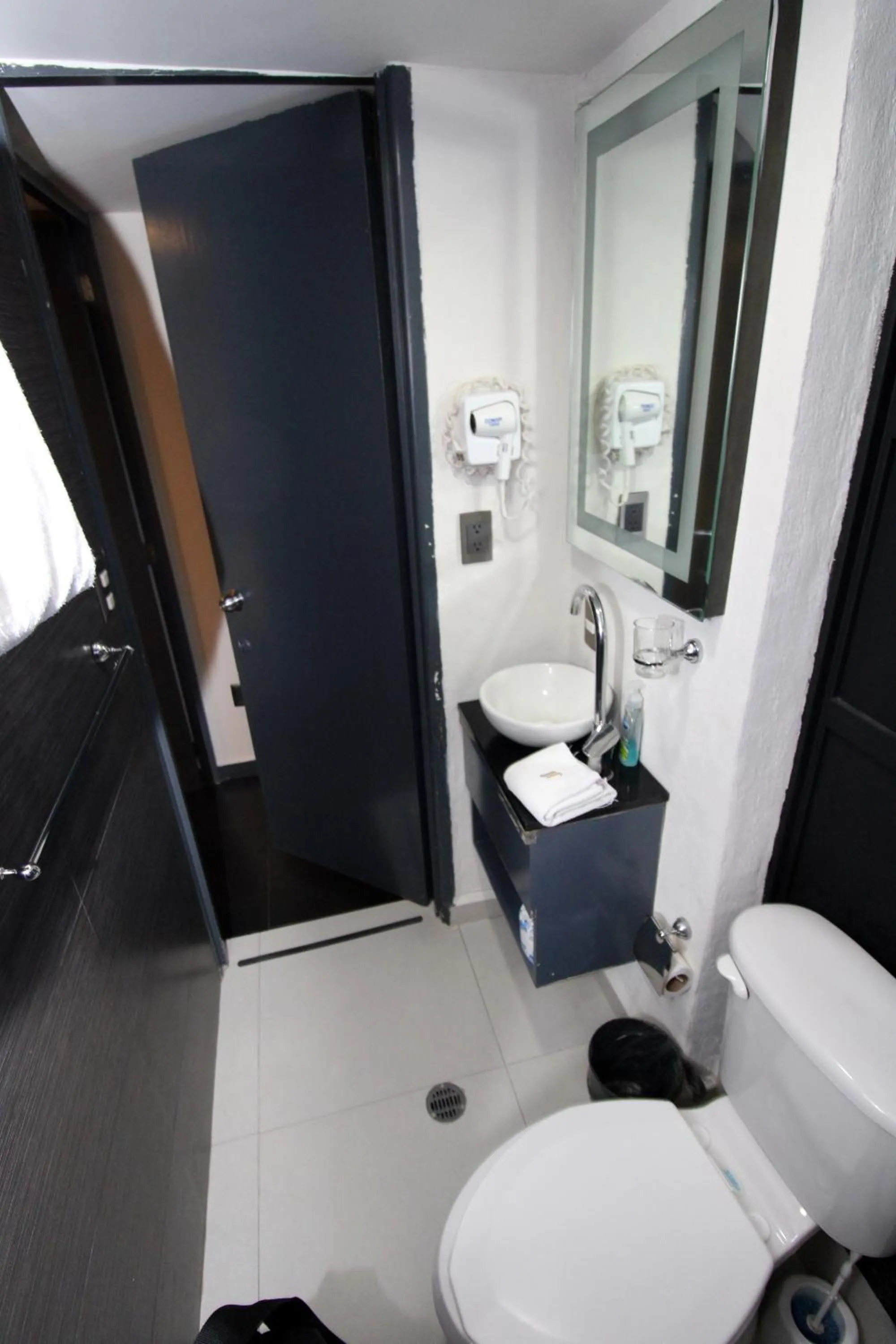 Toilet in Rochester 10