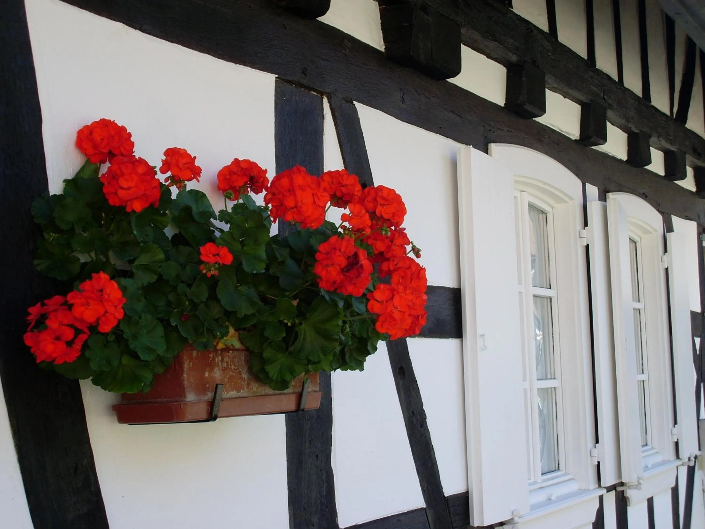 Landmark view in Gîtes et chambres d'hôtes Maison Ungerer