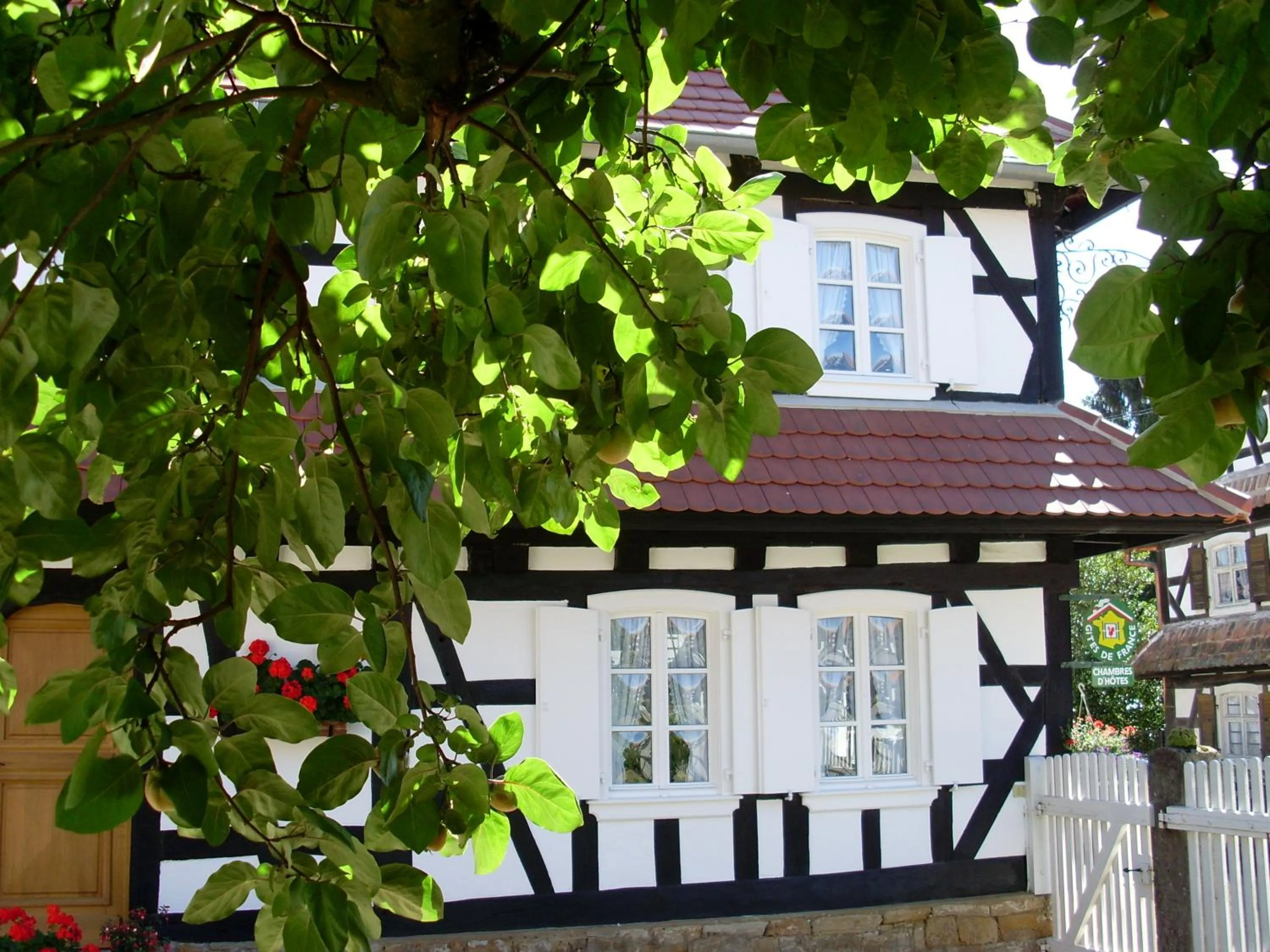 View (from property/room) in Gîtes et chambres d'hôtes Maison Ungerer