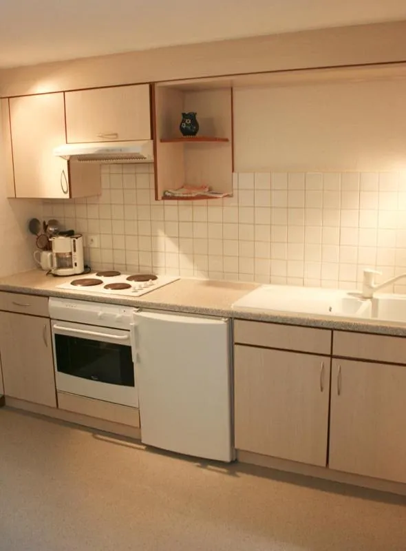 Kitchen or kitchenette in Gîtes et chambres d'hôtes Maison Ungerer