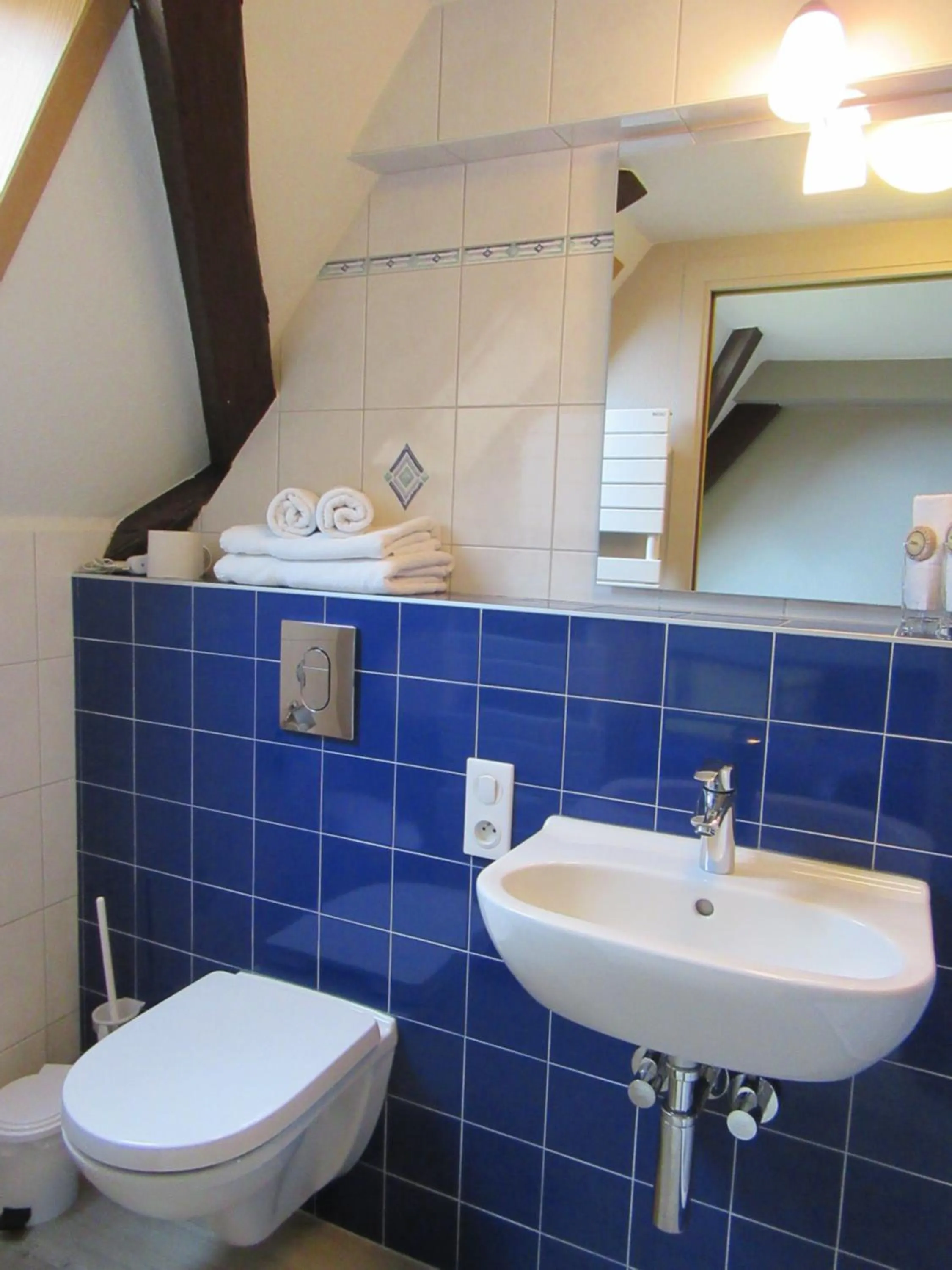 Bathroom in Gîtes et chambres d'hôtes Maison Ungerer