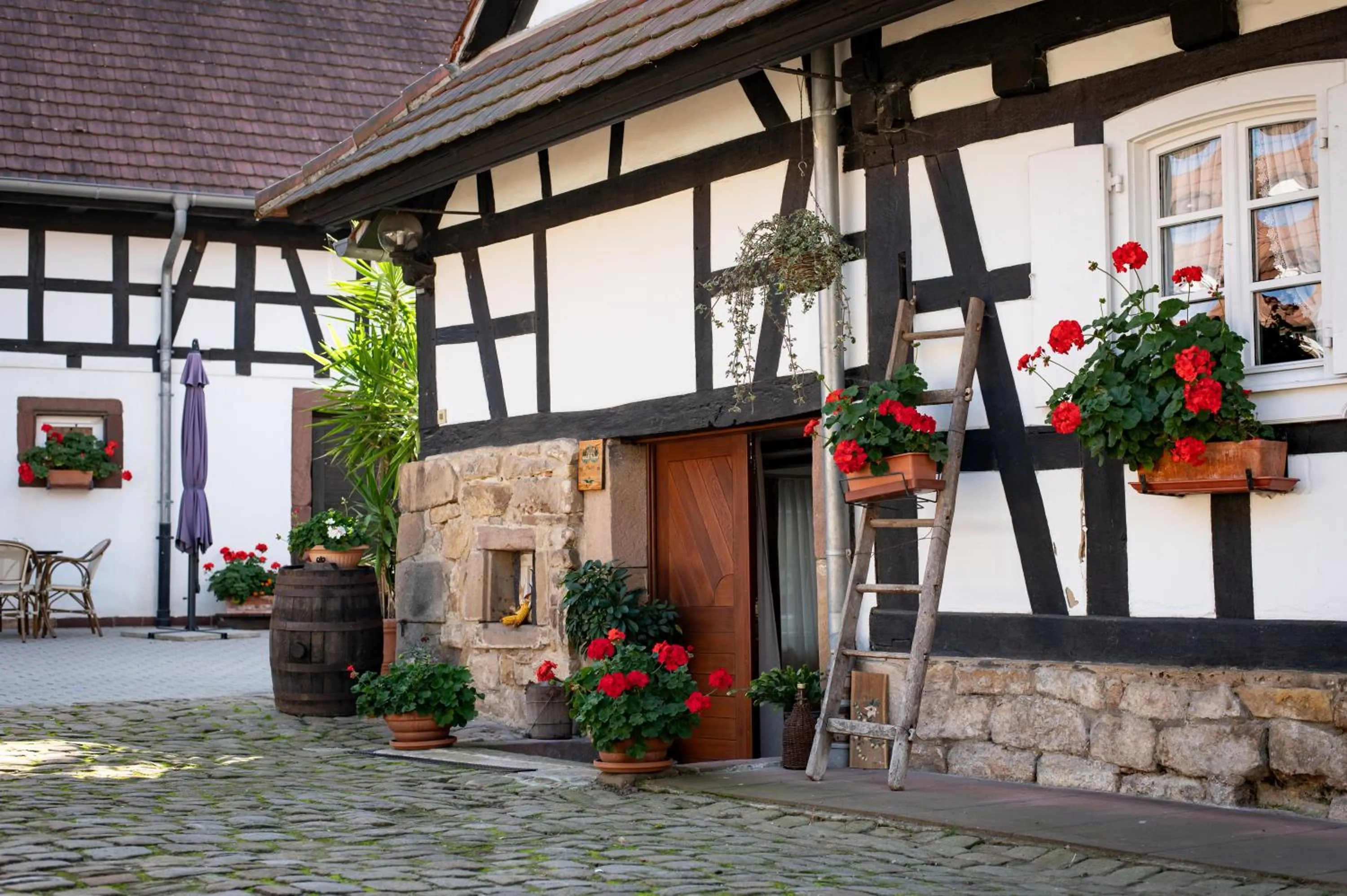 Facade/entrance in Gîtes et chambres d'hôtes Maison Ungerer