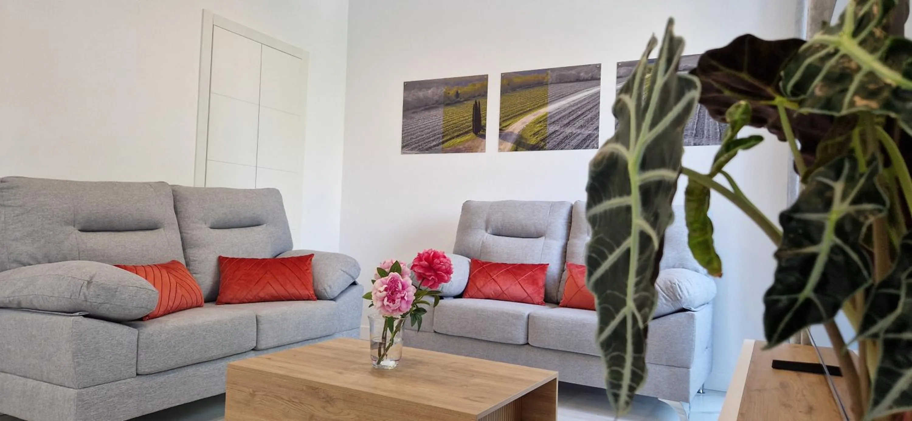 Apartamentos Arenal