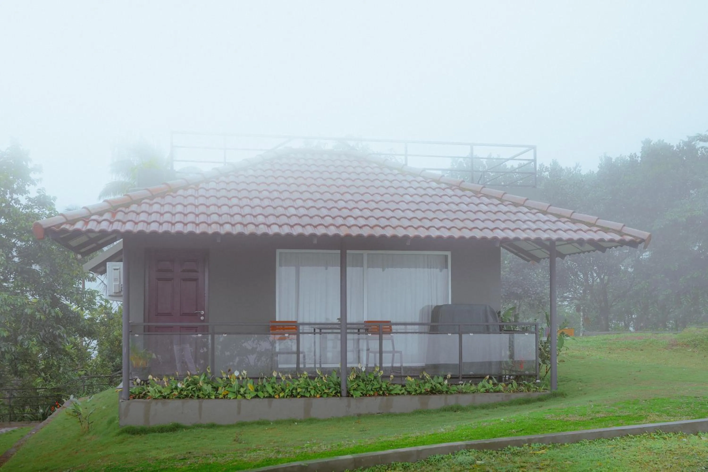 Area and facilities in Haze and Kites Resort Munnar