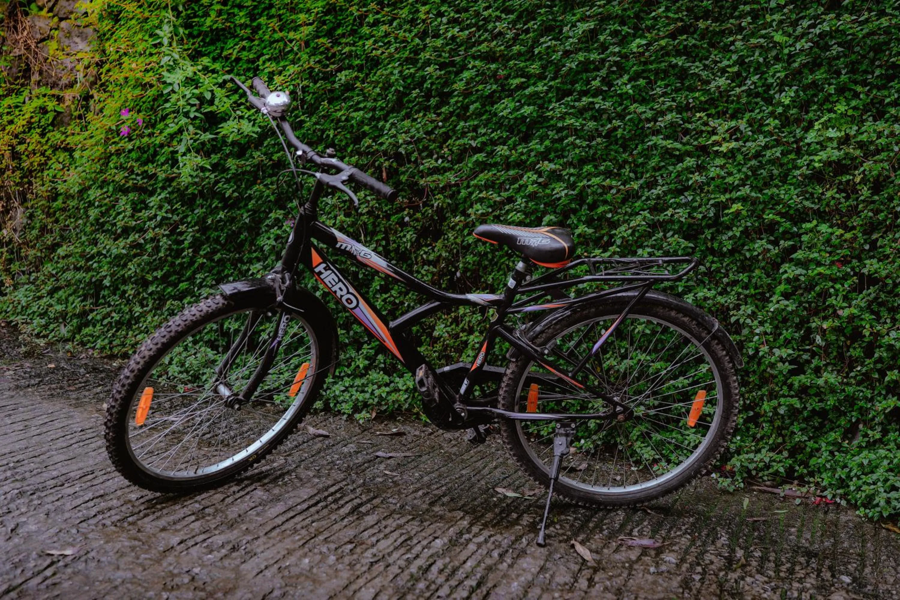 Activities in Haze and Kites Resort Munnar