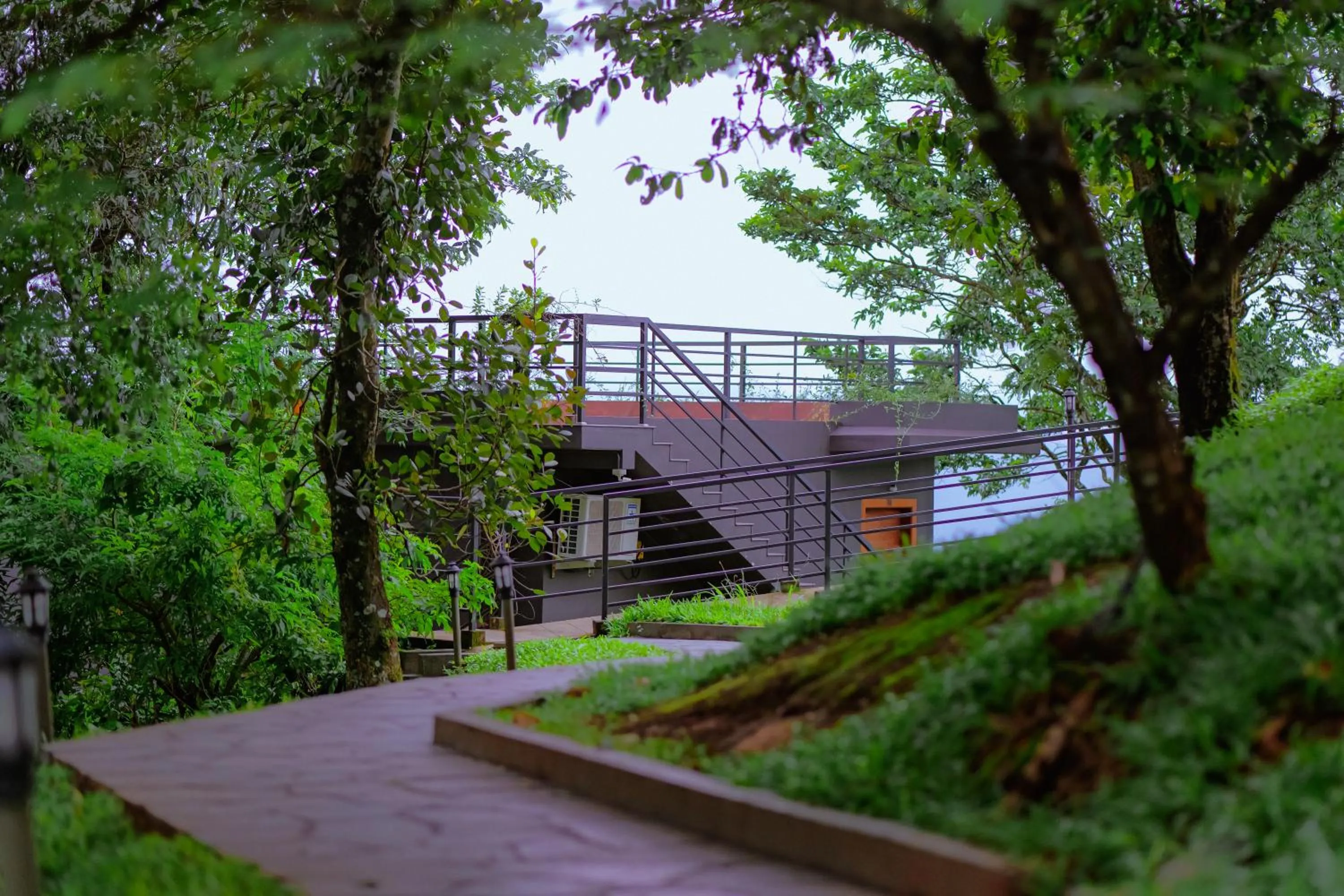 Area and facilities in Haze and Kites Resort Munnar