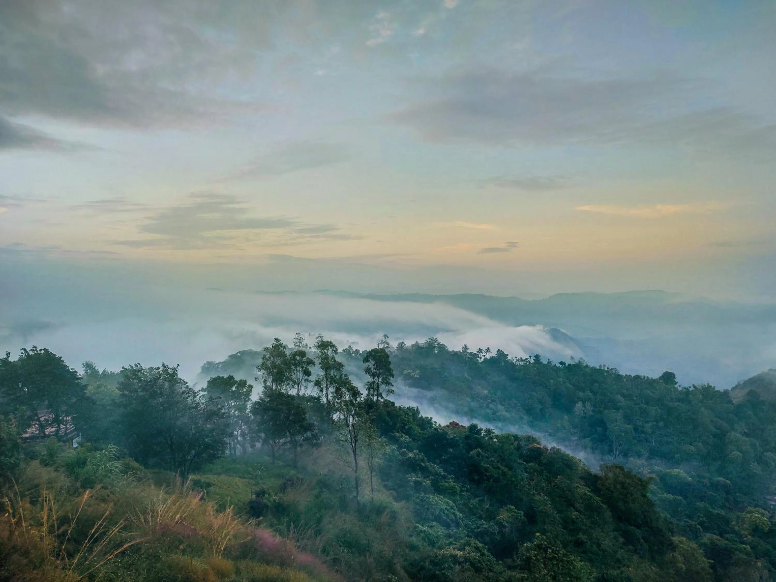 View (from property/room) in Haze and Kites Resort Munnar