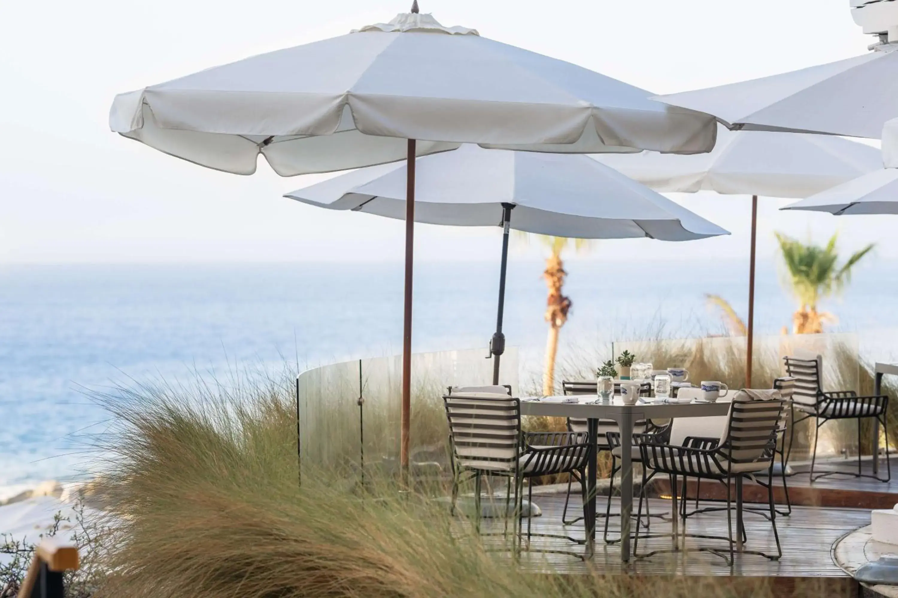 Restaurant/places to eat in Hilton Los Cabos Restaurant/places to eat in Hilton Los Cabos